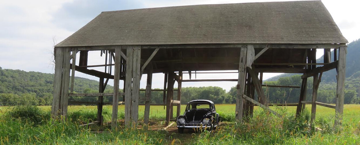Bug in a barn by MASON LORD REV.jpg