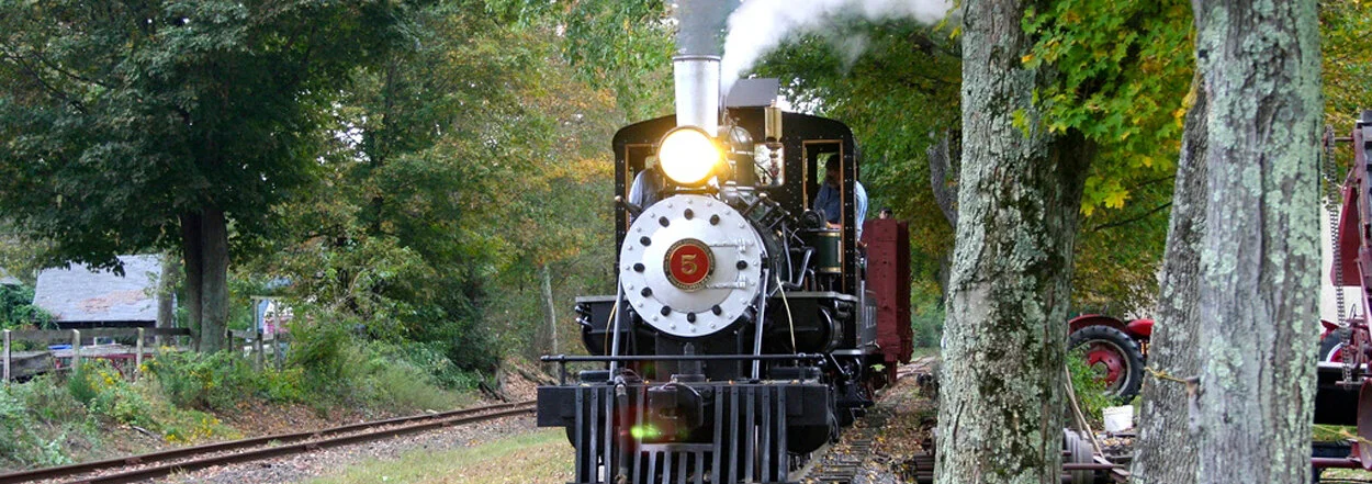 TRAIN rev.jpg