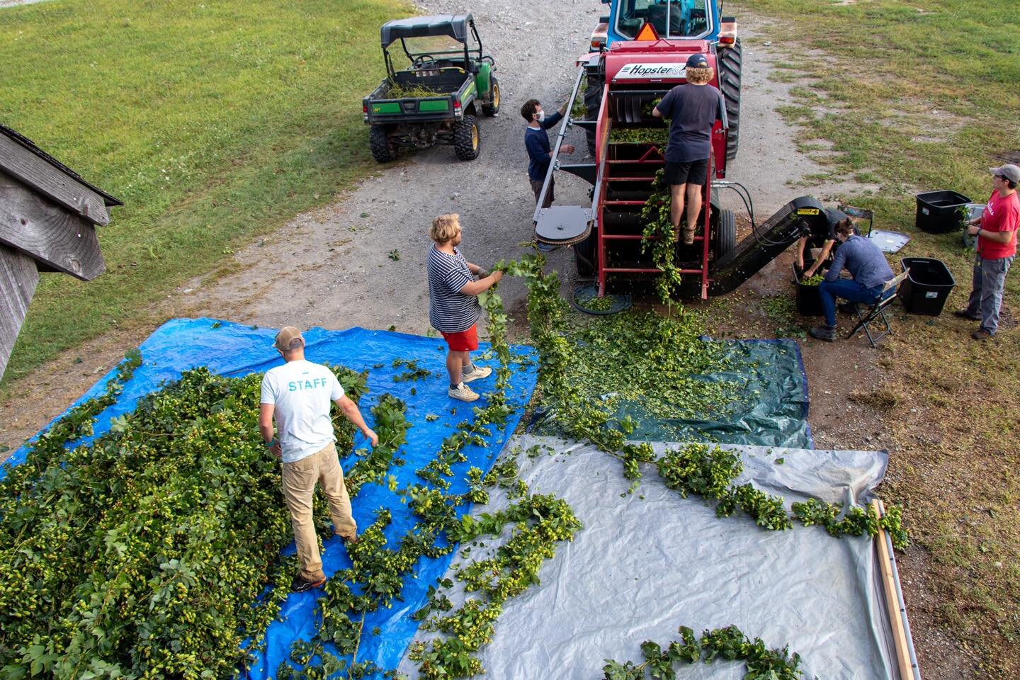 Kent Falls Brewing Company — Kent, CT Chamber Of Commerce