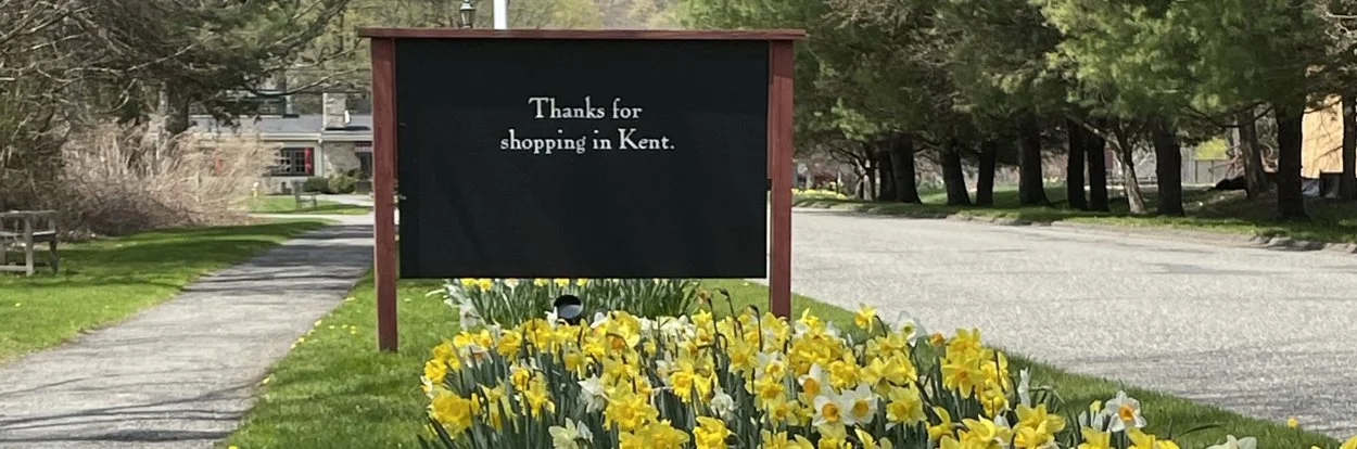 Kent Green daffodils.jpg
