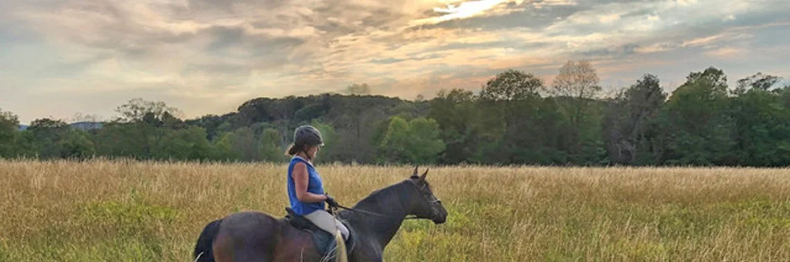 Girl on a horse in a field.jpg