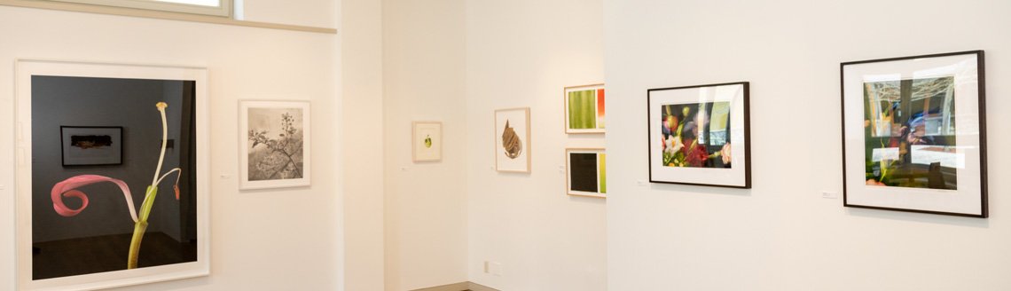 Carol Corey Art 1R.jpg