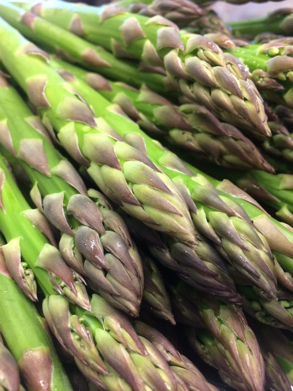 kingsley asparagus.JPG