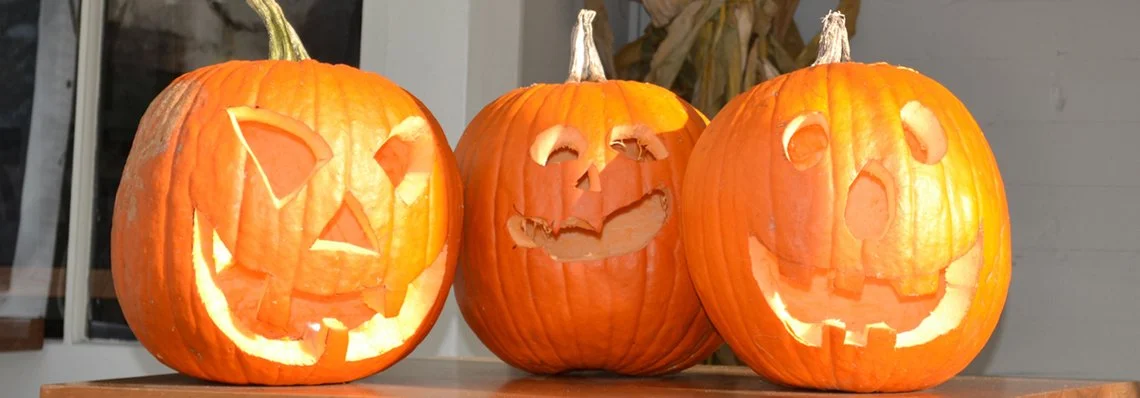 Pumpkins 2011.jpg