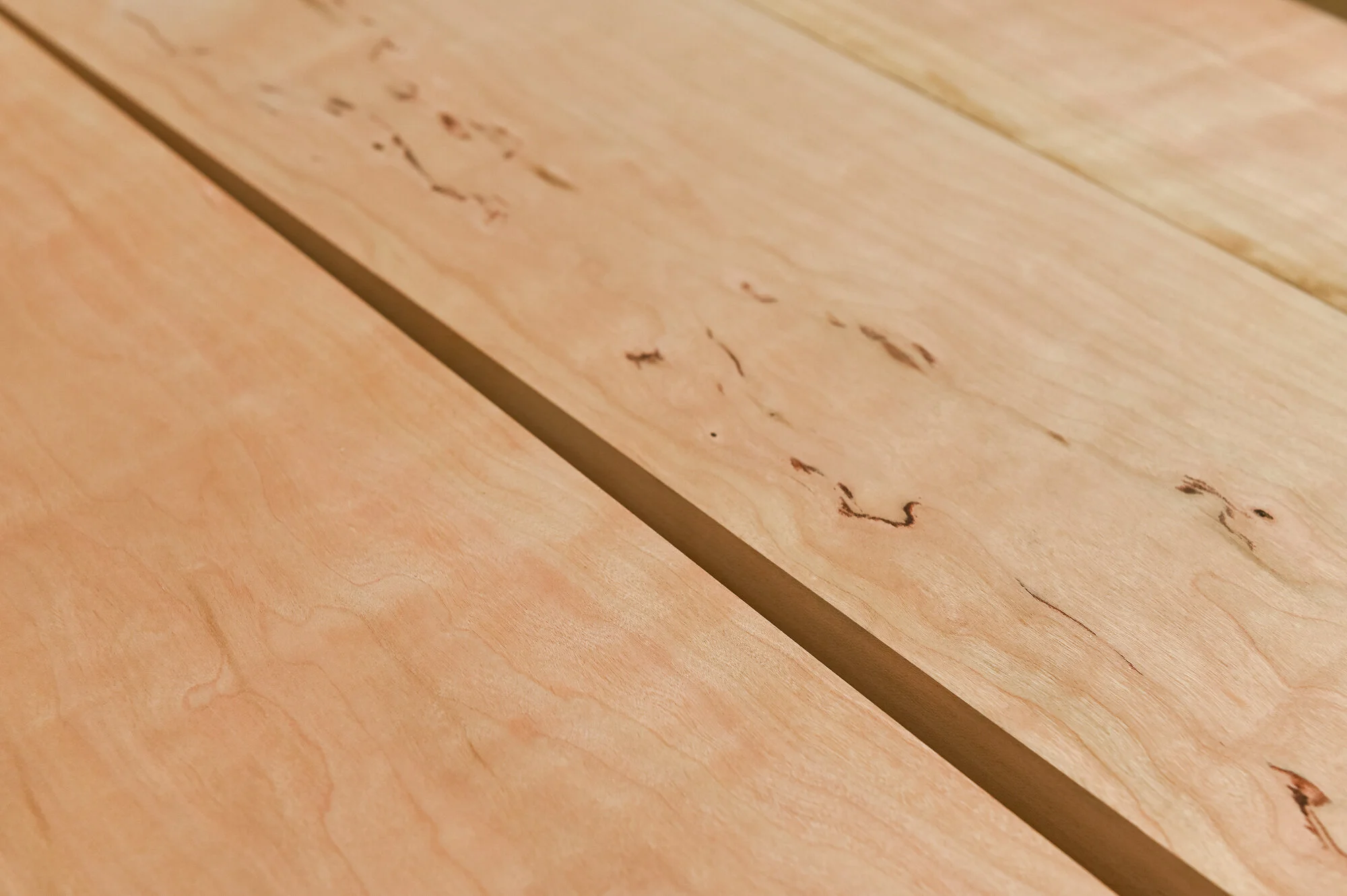 Sakura Media Console