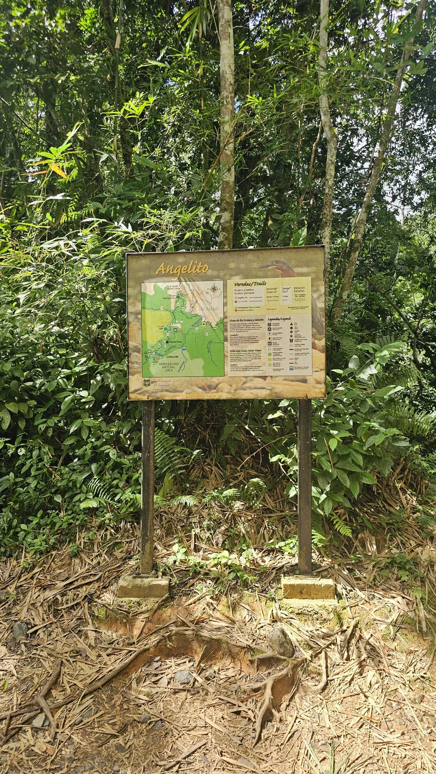 processed_4956.jpg