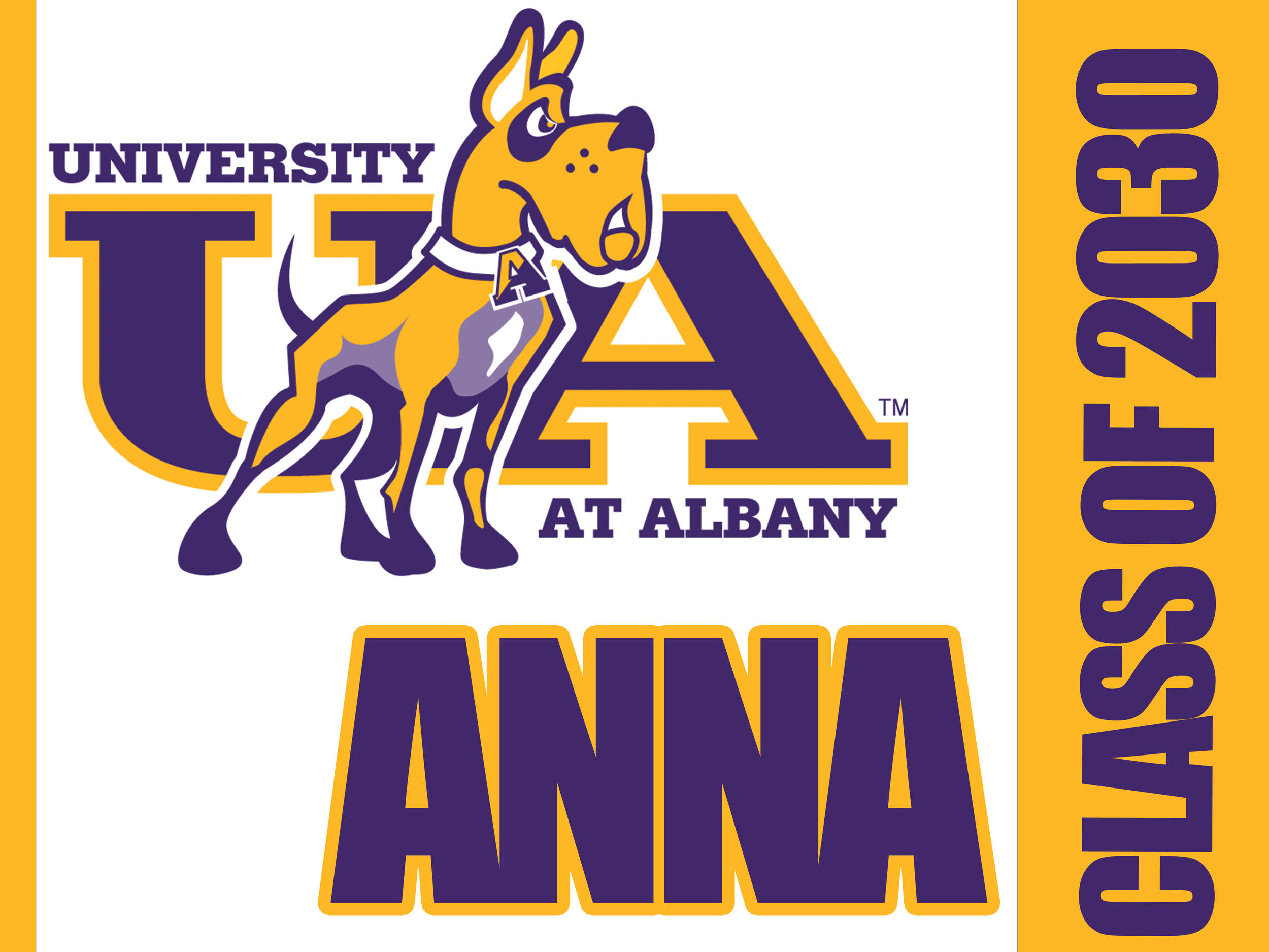 UNIV ABLANY.png