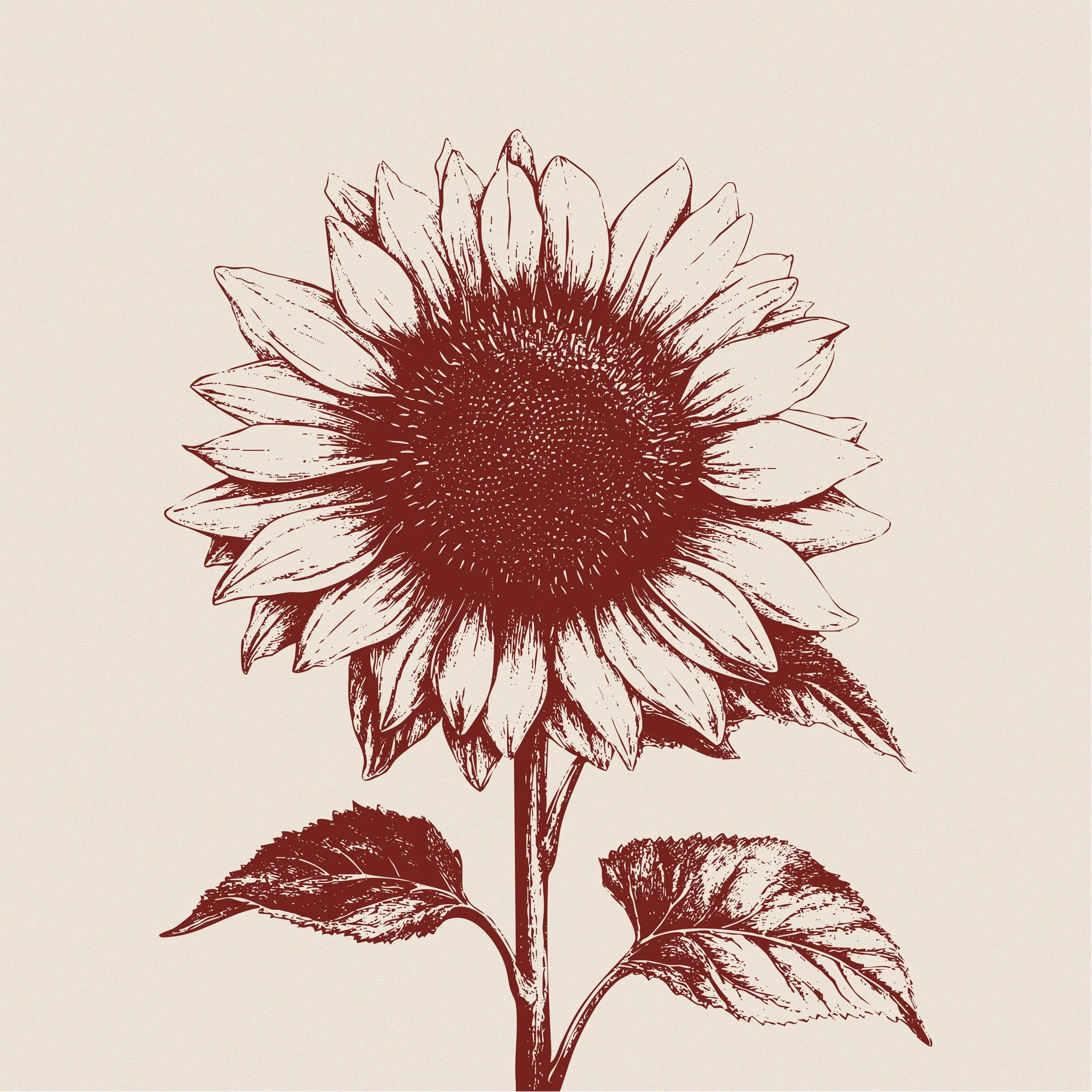 Prepare The Way - Steph Macleod