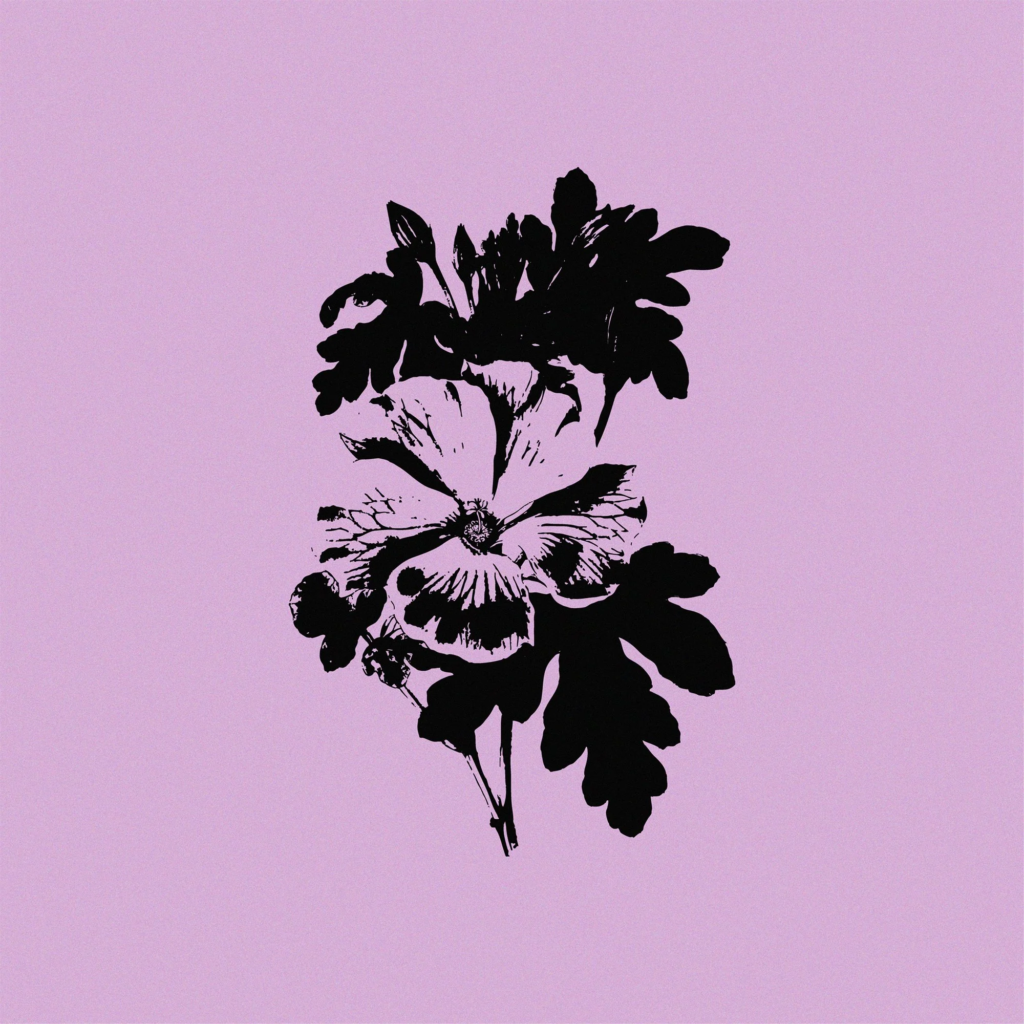 Humble My Heart  - Steph Macleod