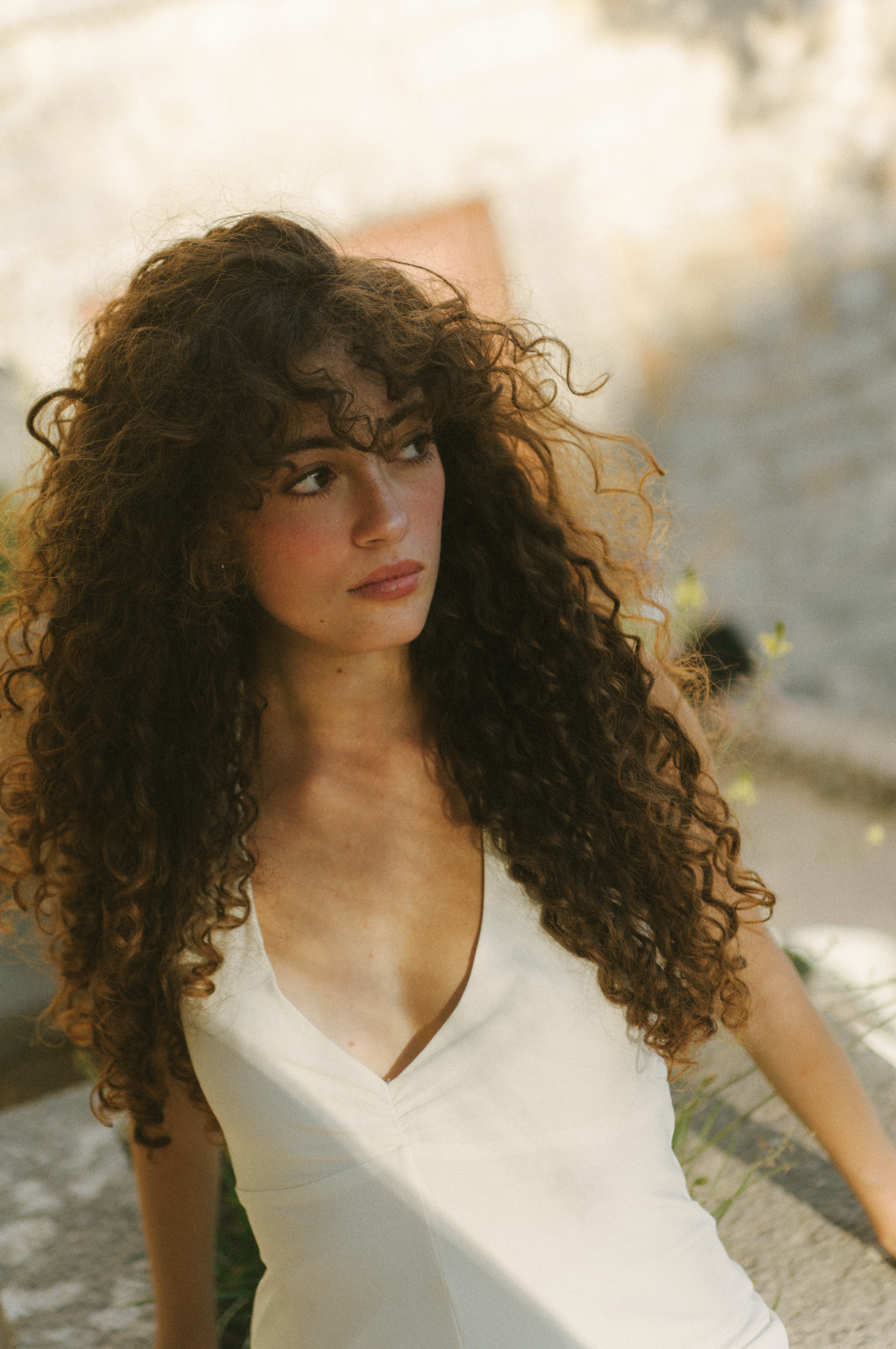 Captura de ecrã 2026-01-26, às 12.43.14.png