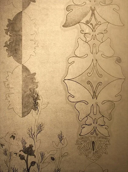 Fancy Butterfly Dancer III.JPG