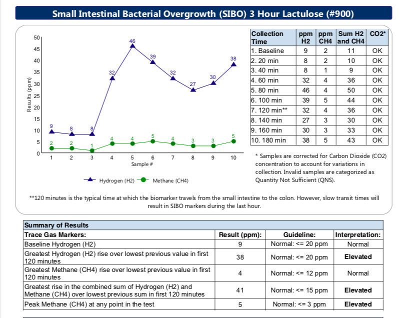Six Months Later, Second SIBO Breath Test Results: Mild SIBO