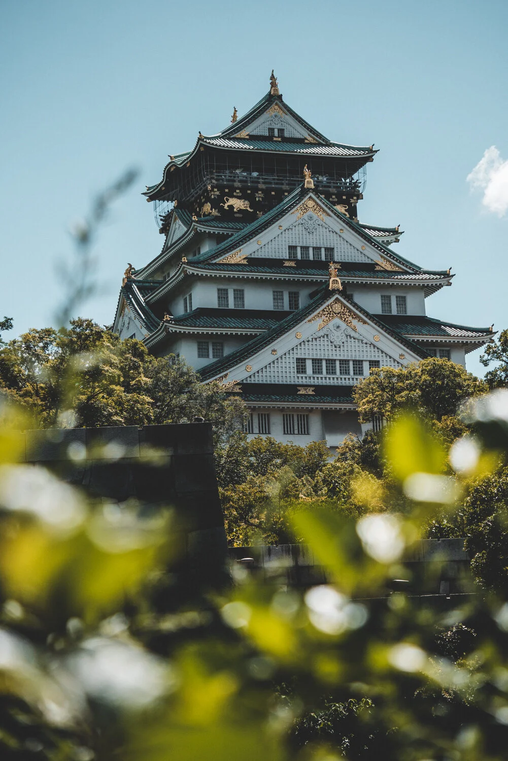 Japan 2019-10.jpg