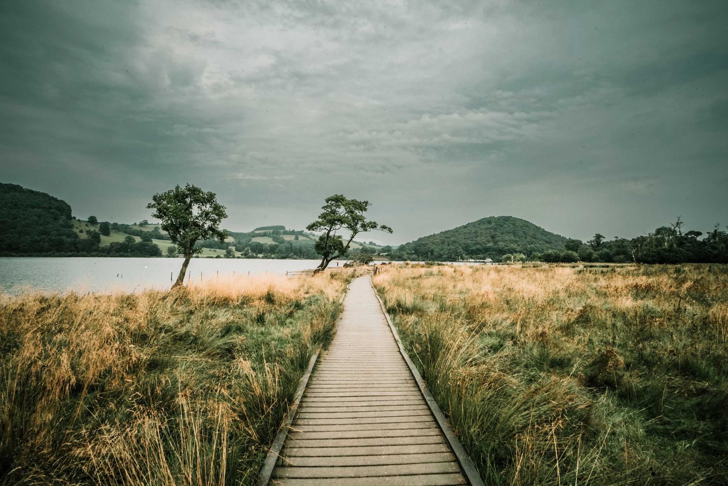 Lake District Path-0953.jpg