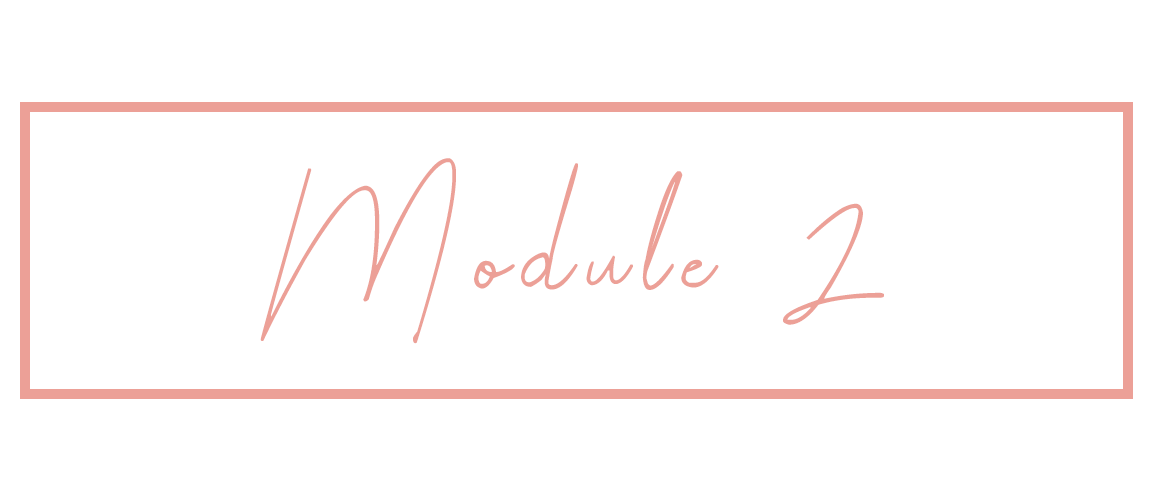 Module_2.png