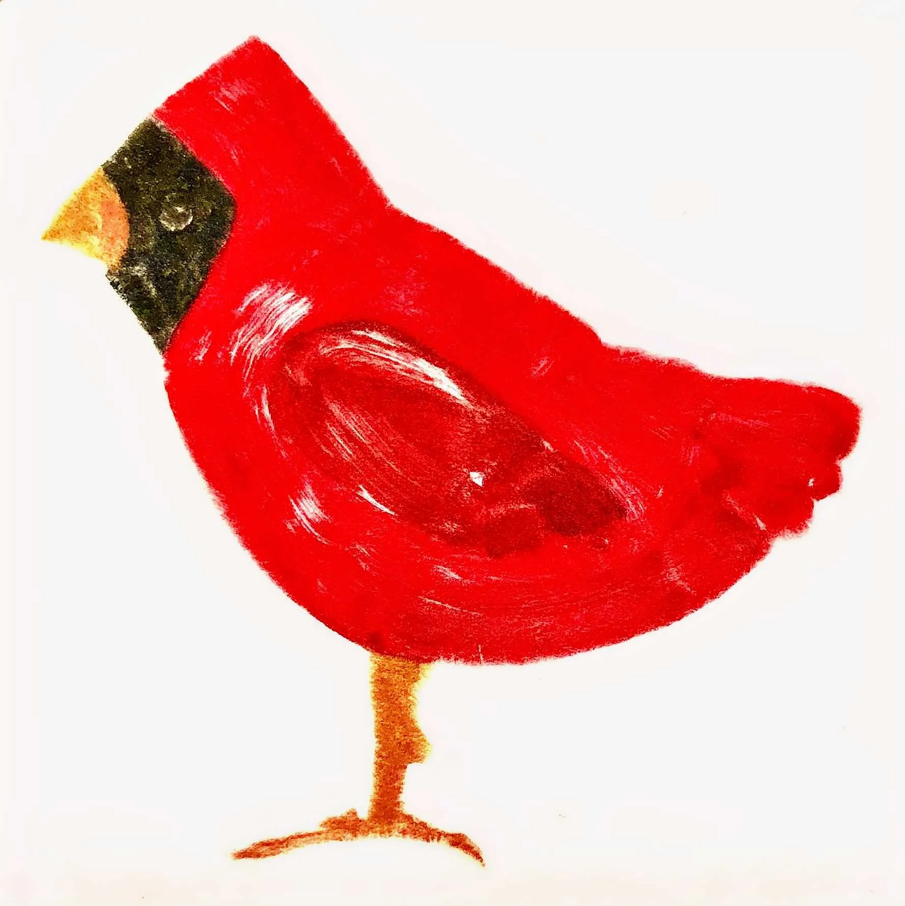 Cardinal-artwork.jpg