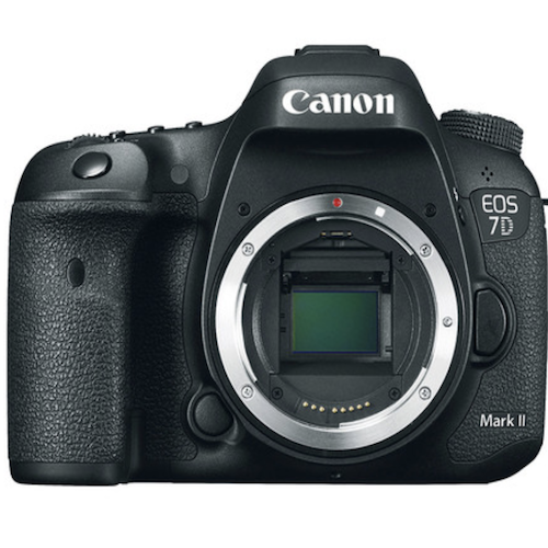 Canon 5D MK iii