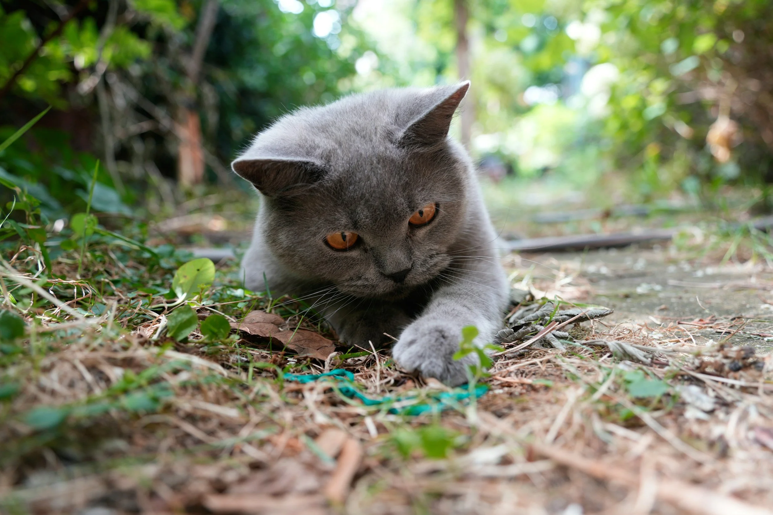 Reflecting on a Happy Organizing Day