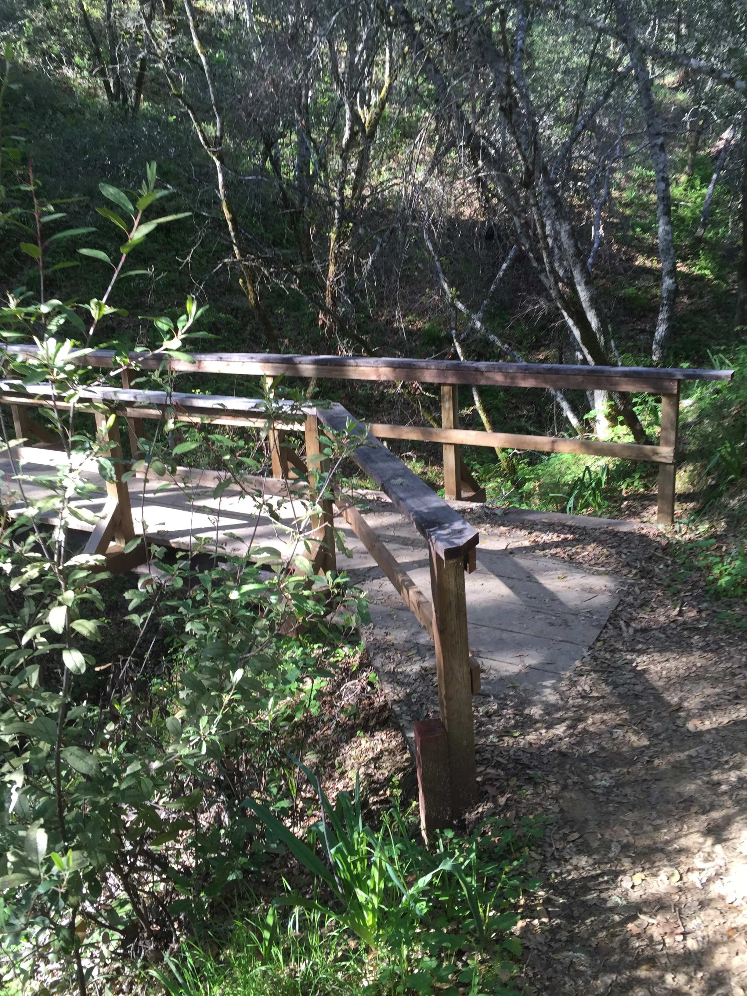 Trails - A Runner's Best Friend