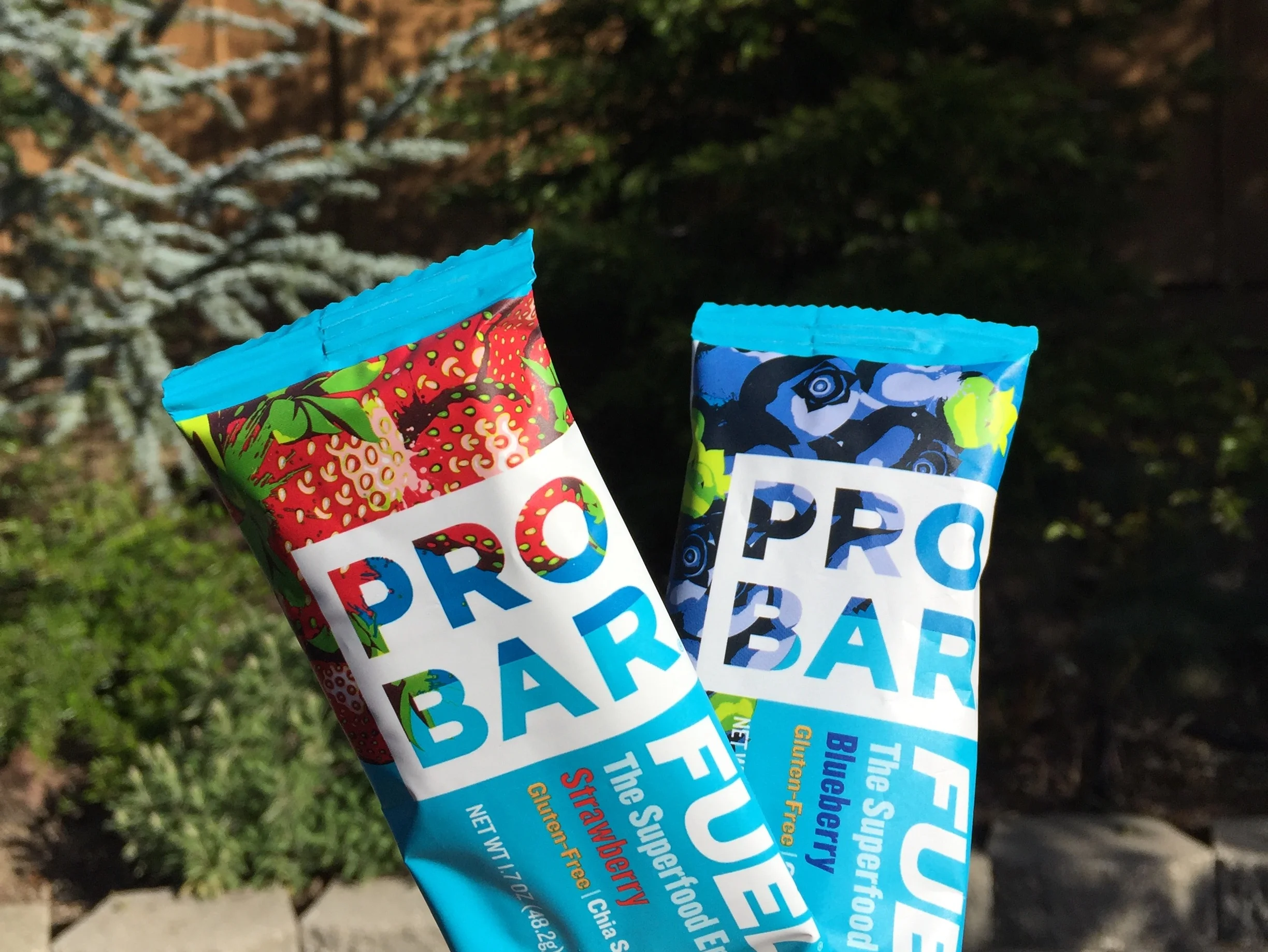 The Pro Bar Review and Giveaway