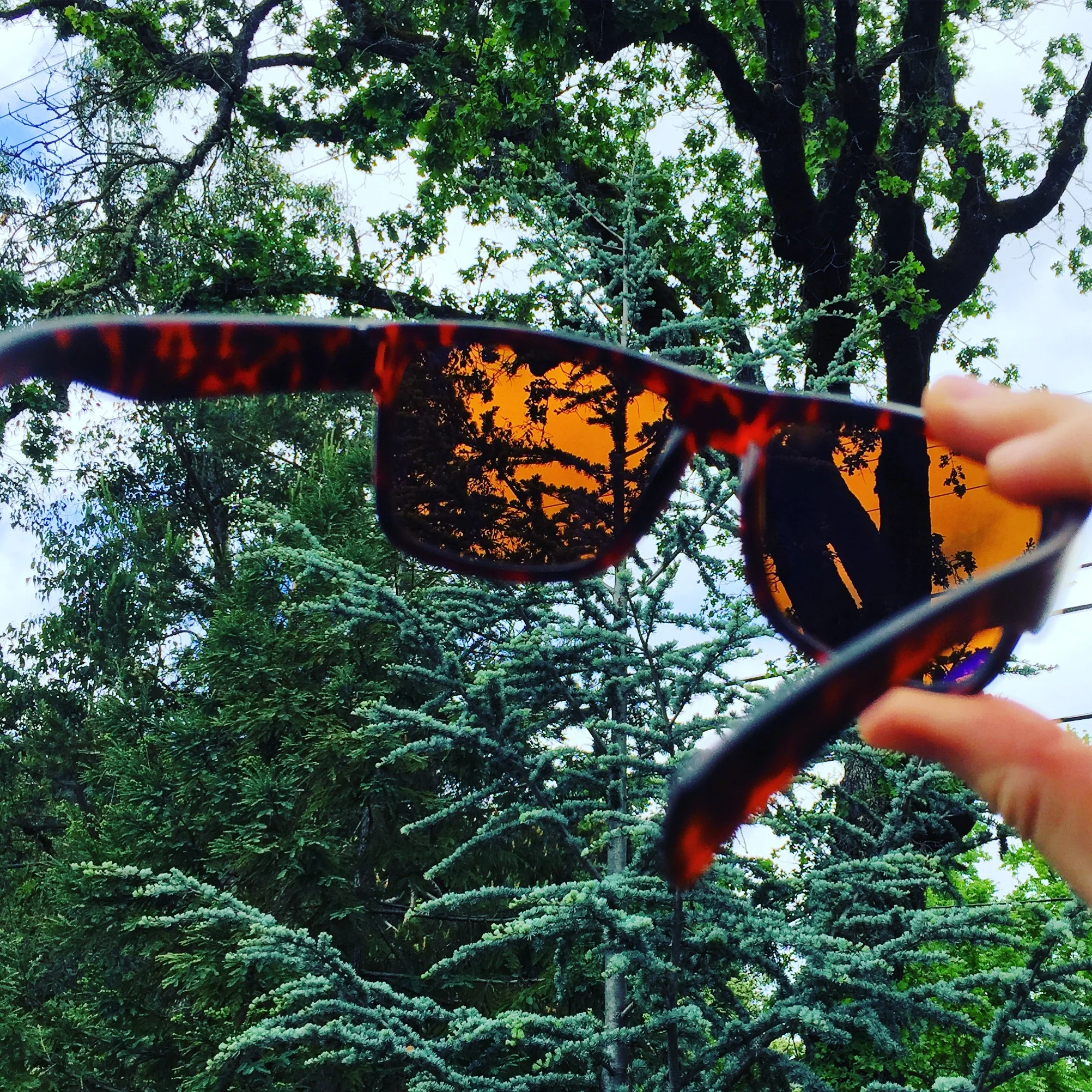 Catching Some Rays with XX2i and the Bermuda1