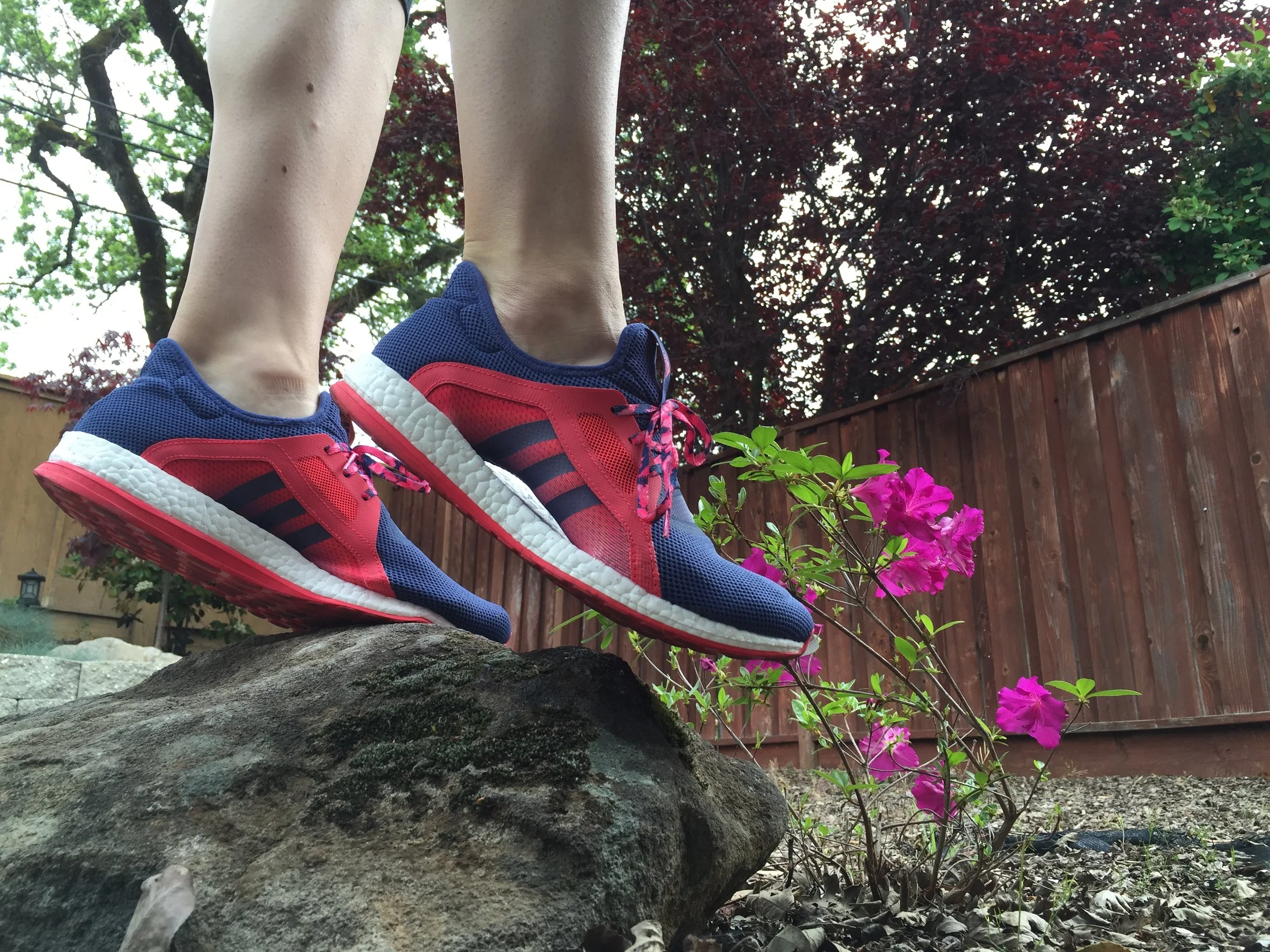 How Adidas Entered My Life