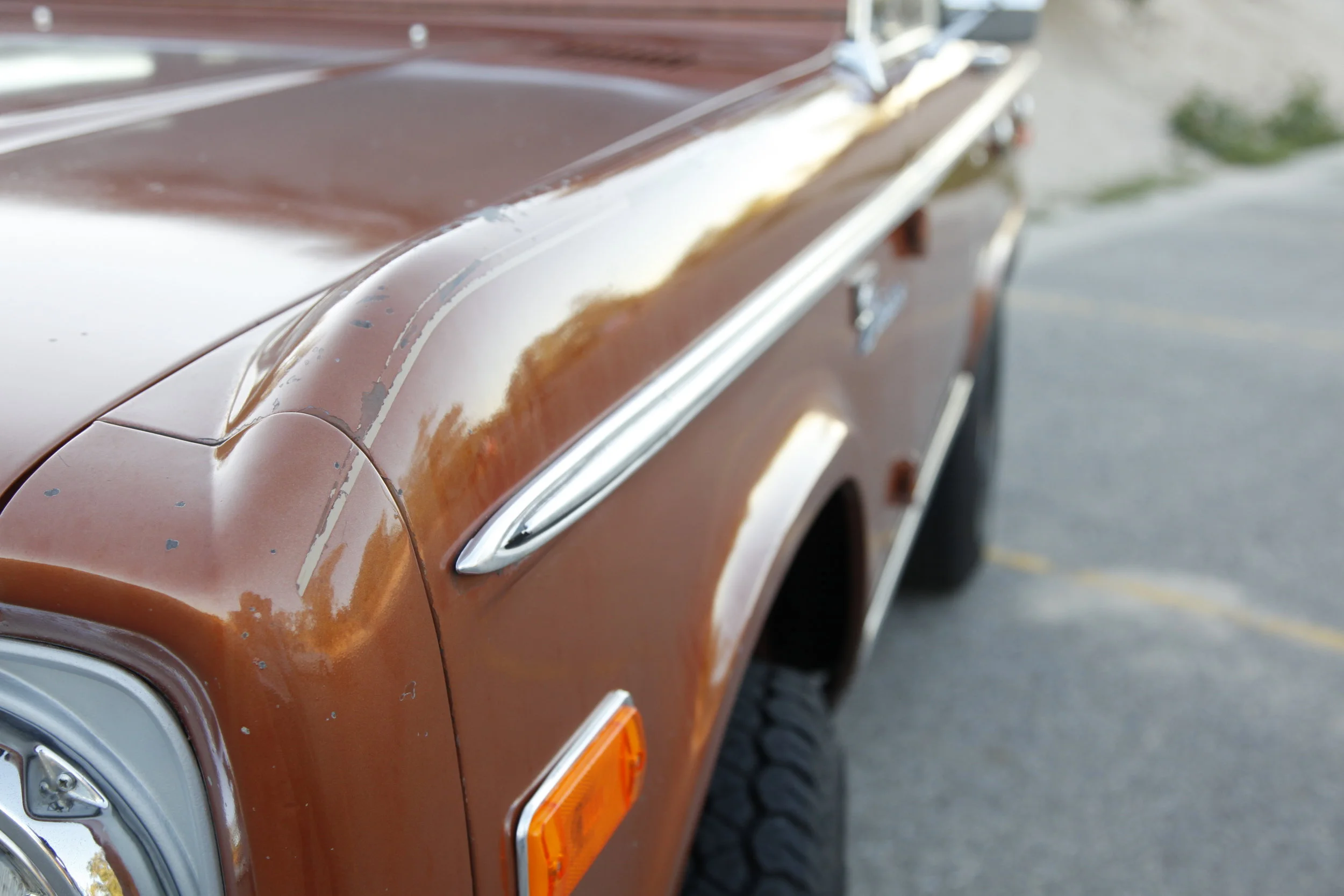 _MG_6698.JPG