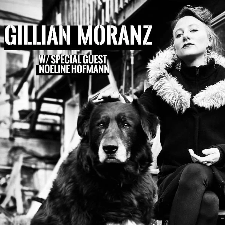 The Owl Acoustic Lounge, Lethbridge AB