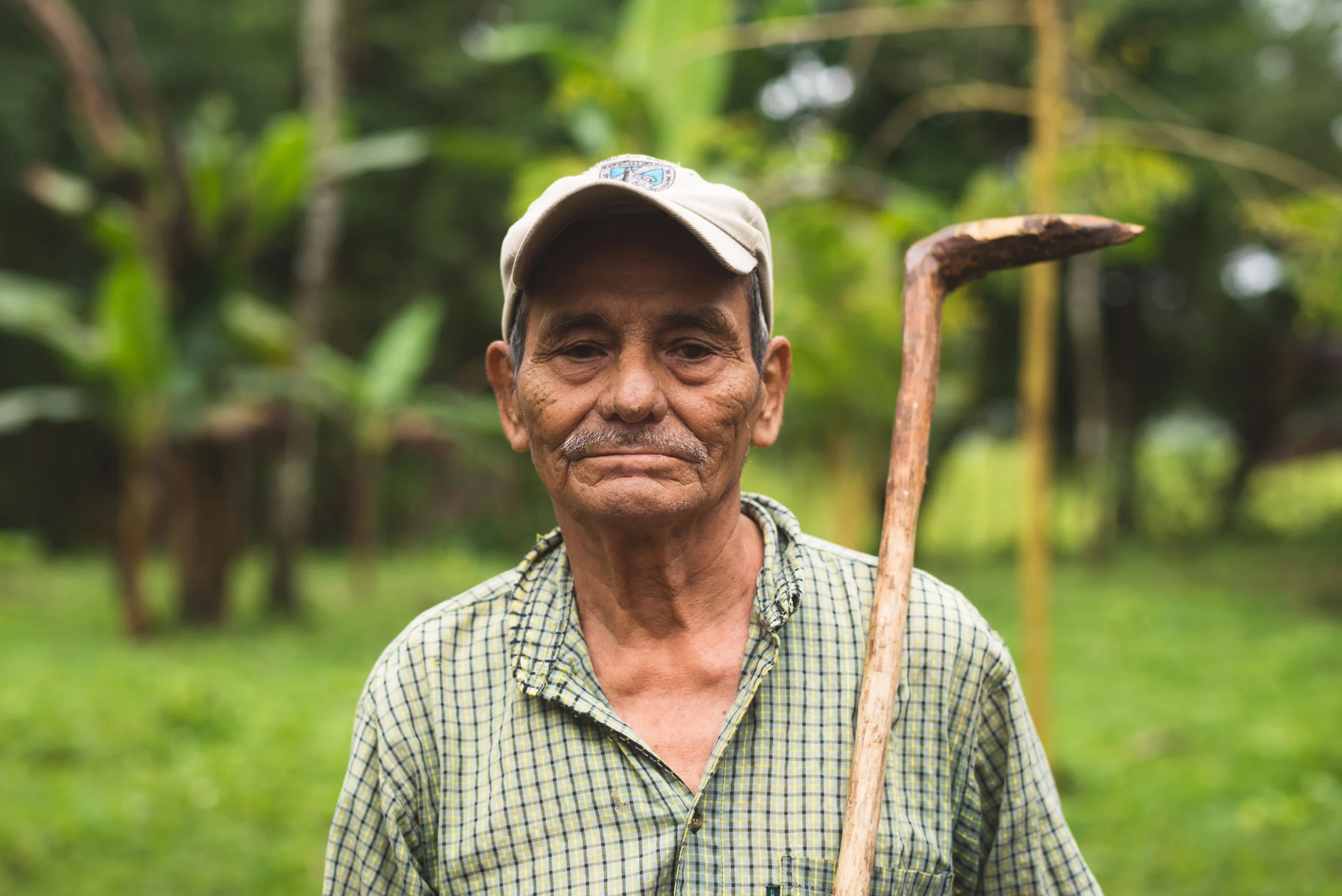 Retrato.jpg