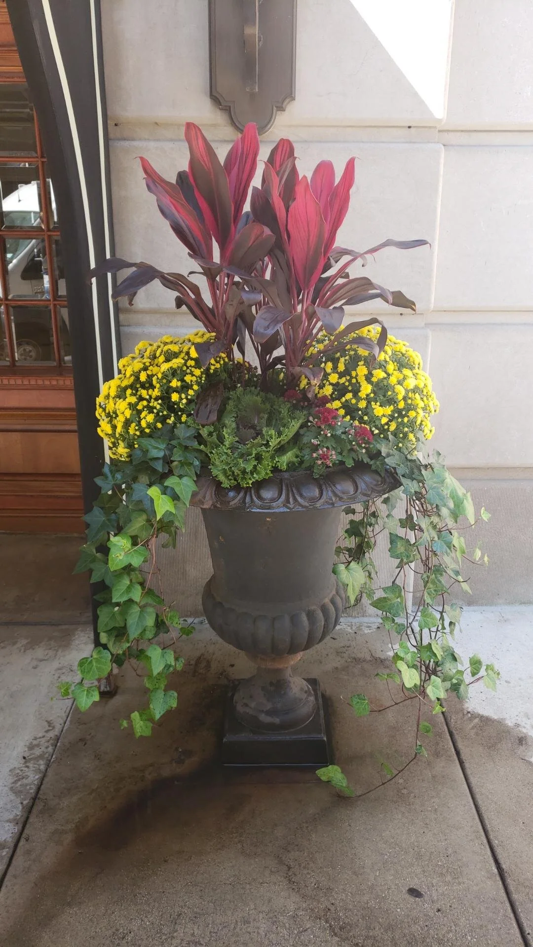 Chicago Indoor Plant Services Houseplant Maintenance IGS — IGS