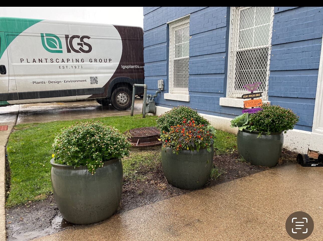 Simple fall containers about to pop.

#igs #truck #fallcontainers #fallmums #color