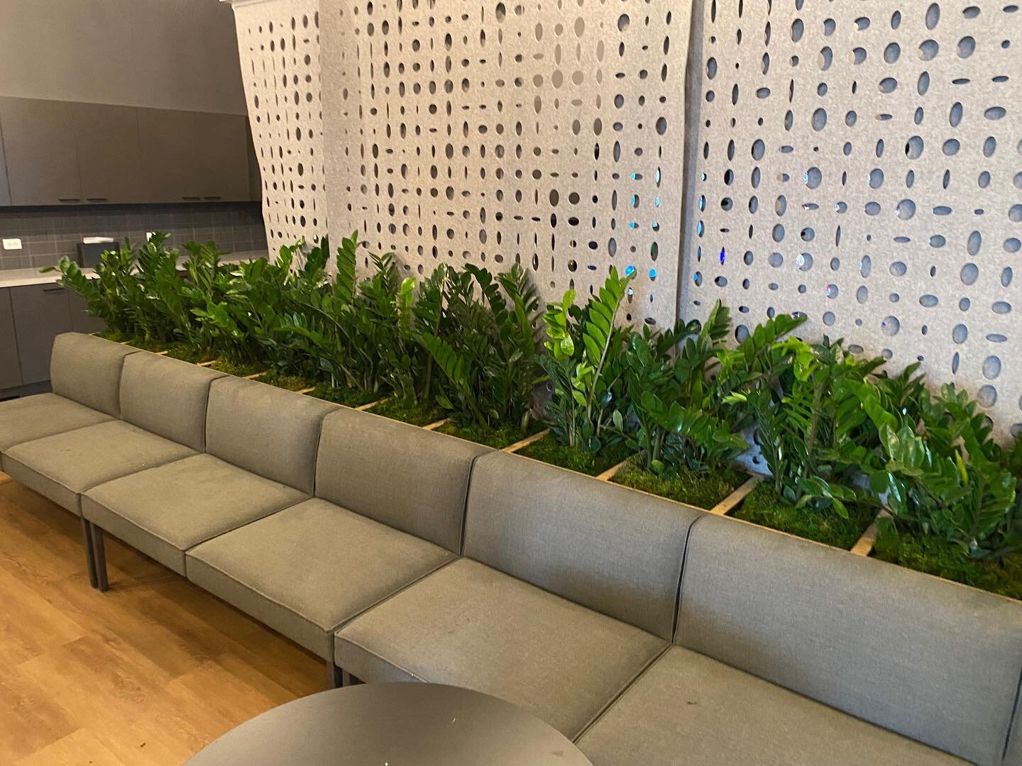 Looking for a little green in this Chicago snow!

#chicago #plantdesign #interiordesign #commercialdesign #plants