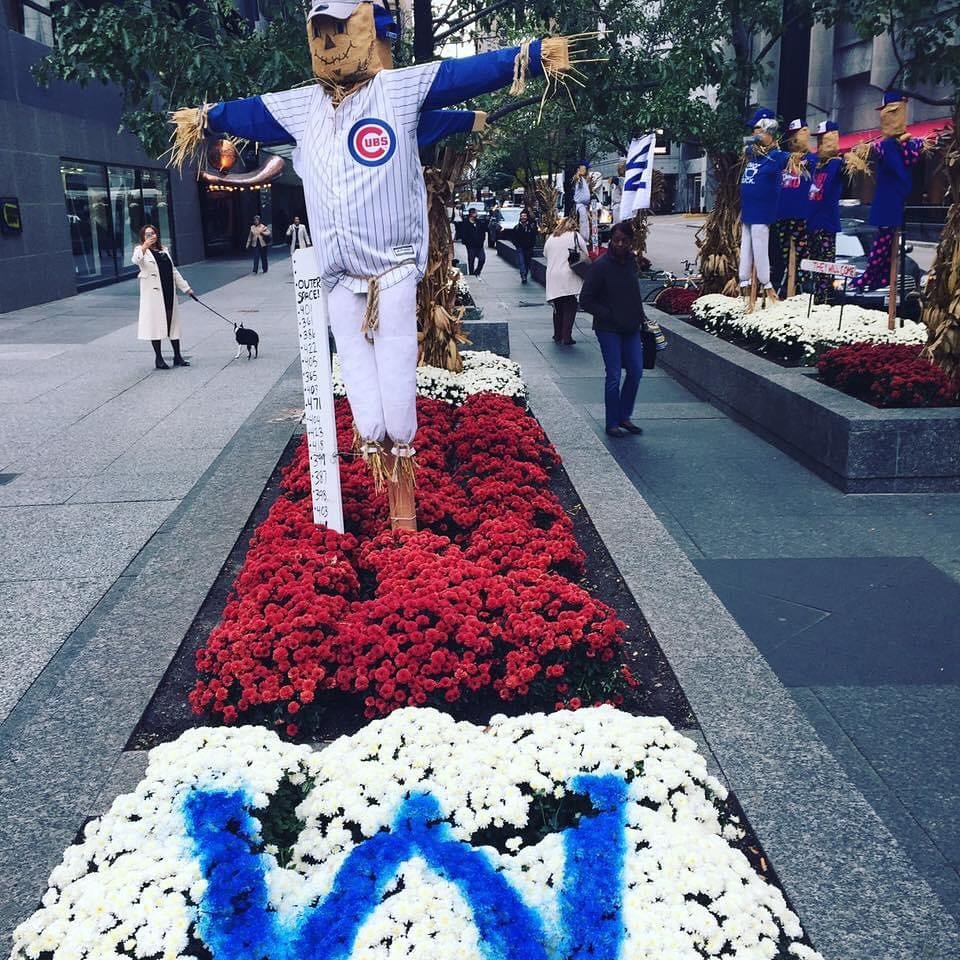 Memories of the time the local guys were in the World Series and our client @875northmichiganavenue let us create a Field odyssey Dreams in their plaza. Happy times.

#gocubsgo #worldseries #falllandscape #cubs #fieldofdreams #2016 #anniversary #goat
