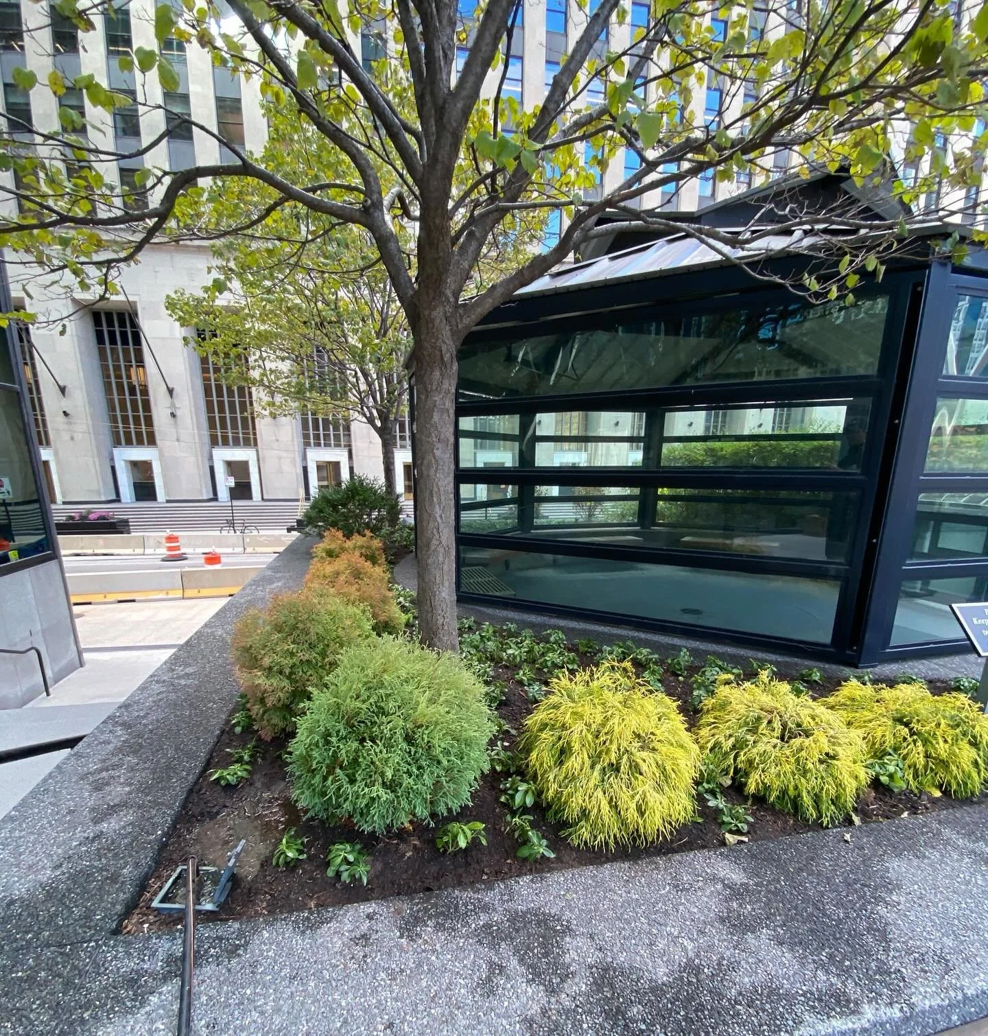 It's not too late in the year to plant for next spring. Nothing like a little refresh for this smoking shelter!

#greens #later #shades #urbannature #evergreens #urban #citypark