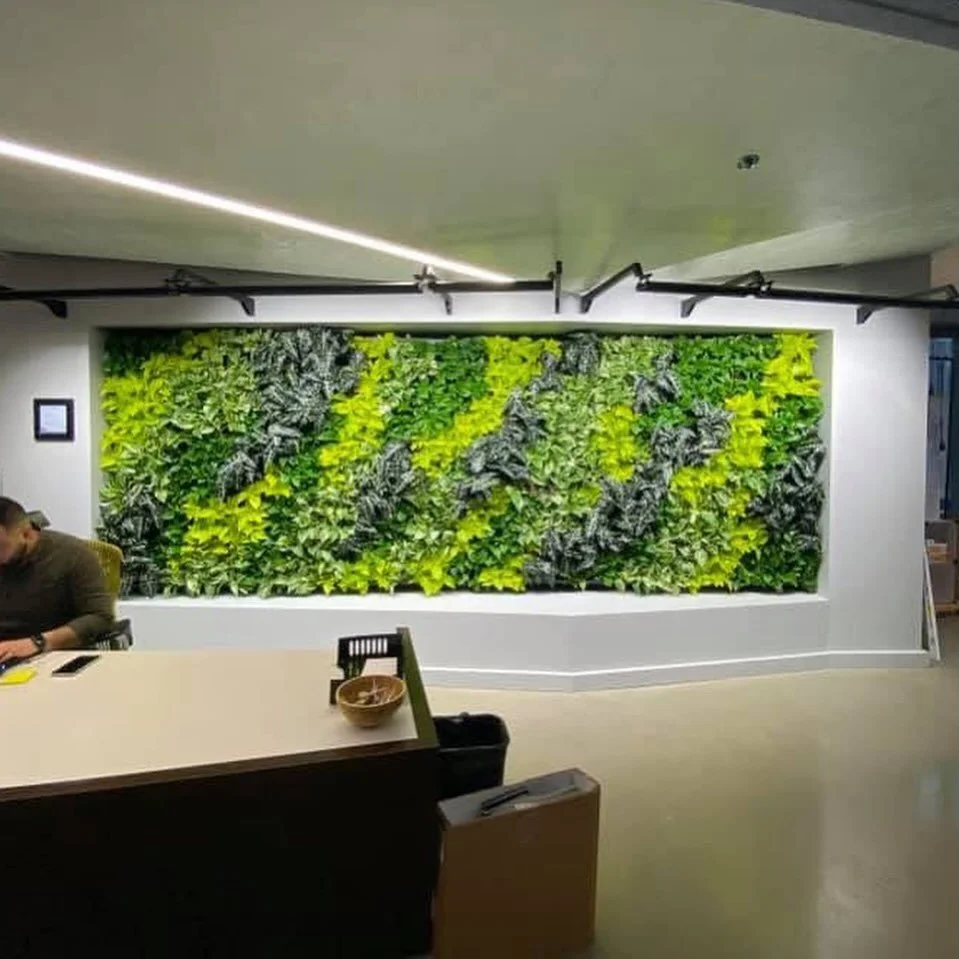 Green wall memories.

#greenwall #verticalgreen #officedecor #chicagooffice #green #plants #officeplants