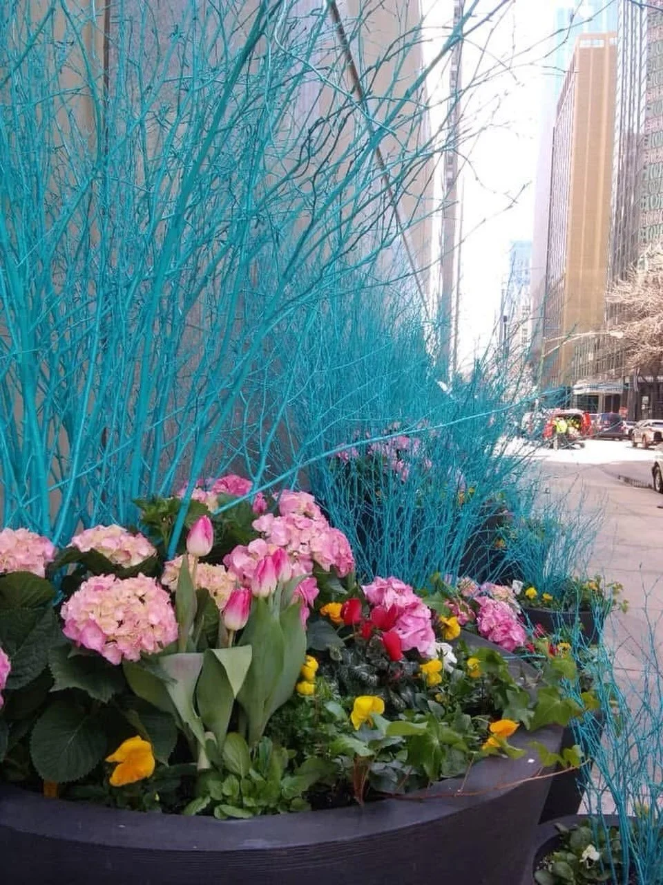 Spring!