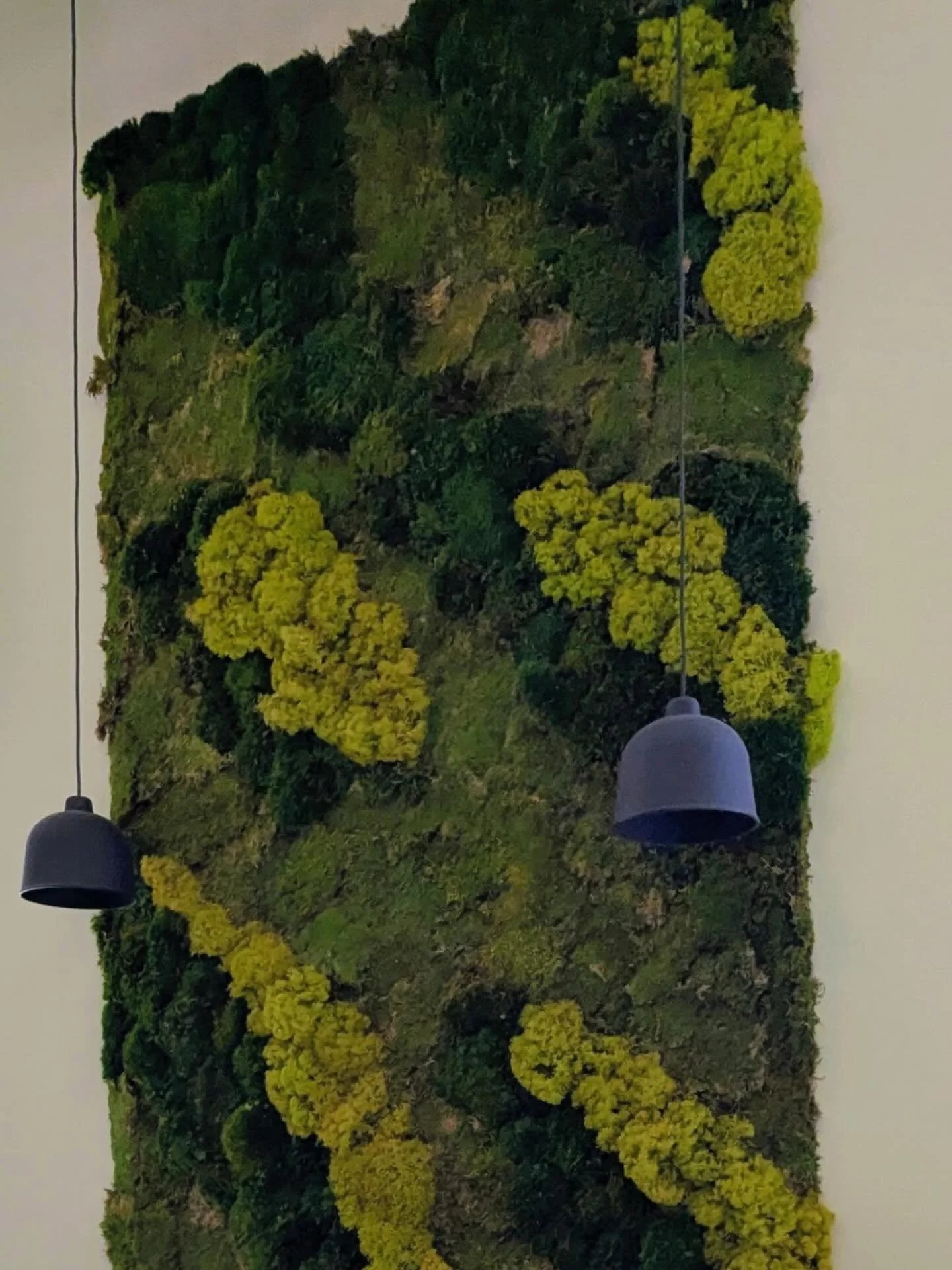 Moss Art for the win.

#mossart #mosswall #greenwall #moss #green