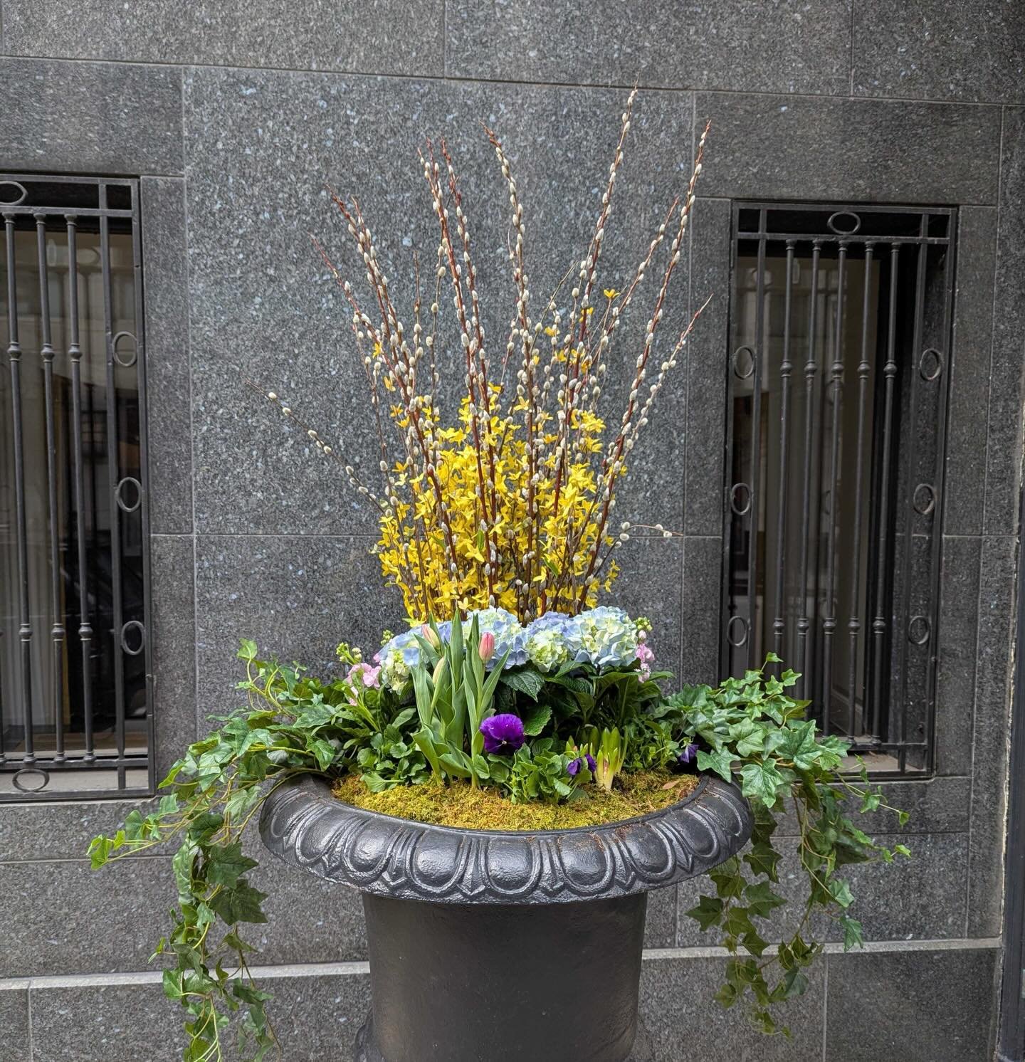 Been on a small IG break. Looking forward to spring weather! It's a Good Friday for our first install of the year.

#springflowers #spring #chicagolandscaper #landscapedesign #detail