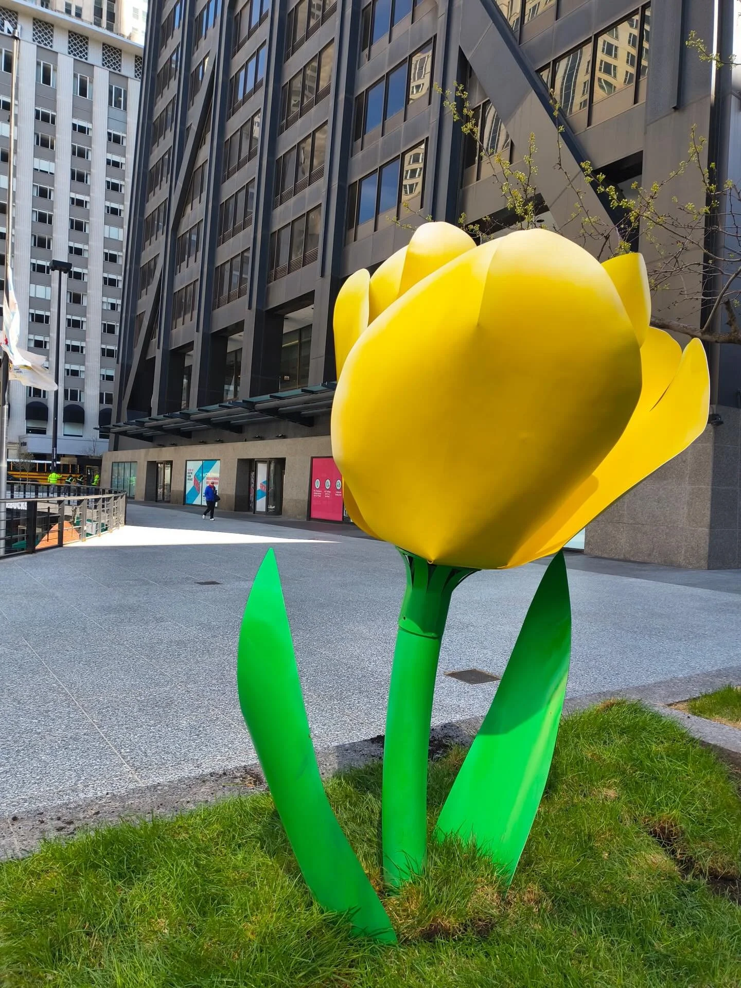 Spring time in Chicago means TULIPS!!! Check out this beauty @875northmichiganavenue on @themagmile