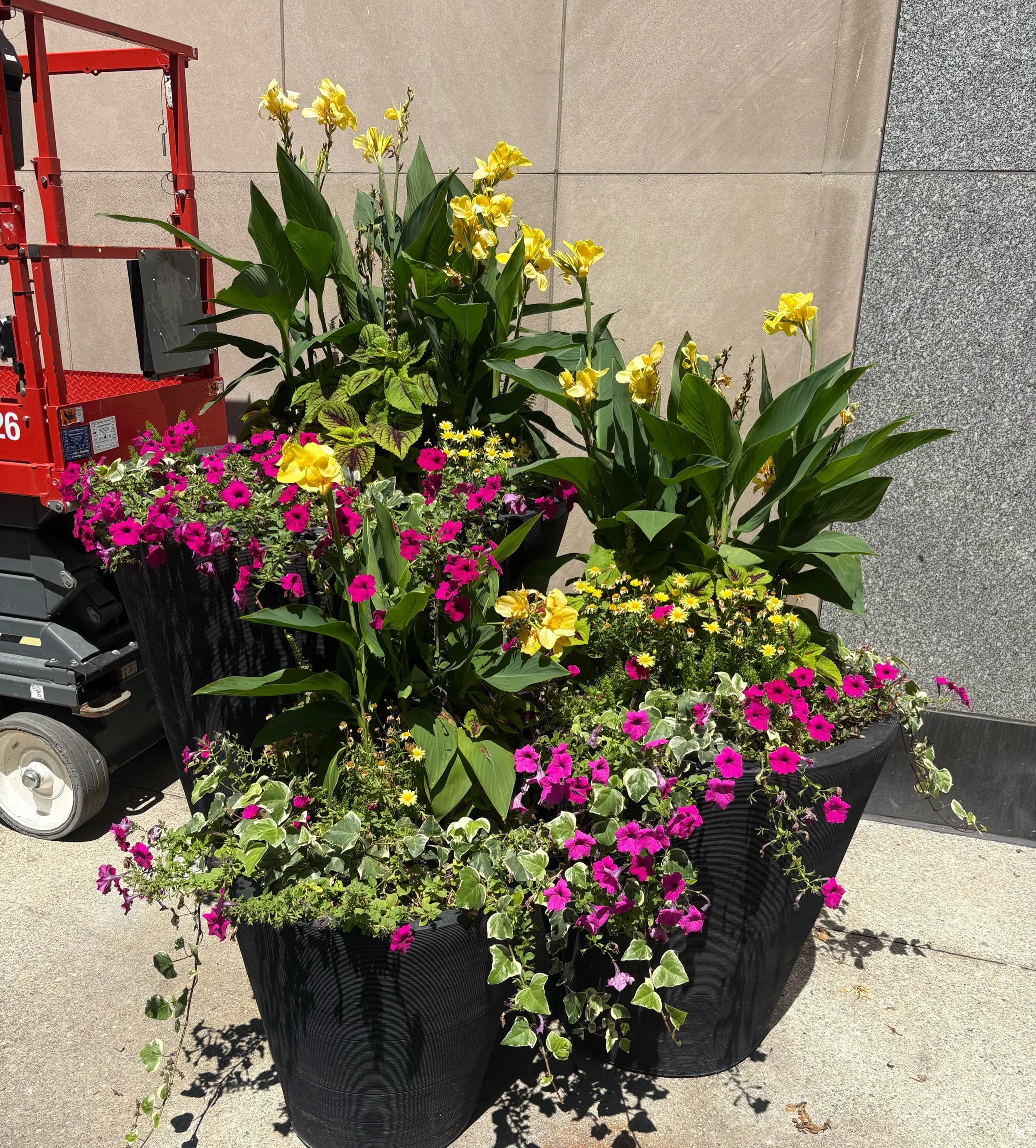 Summer color.
#magnificentmile #magmile #chicagolandscaper