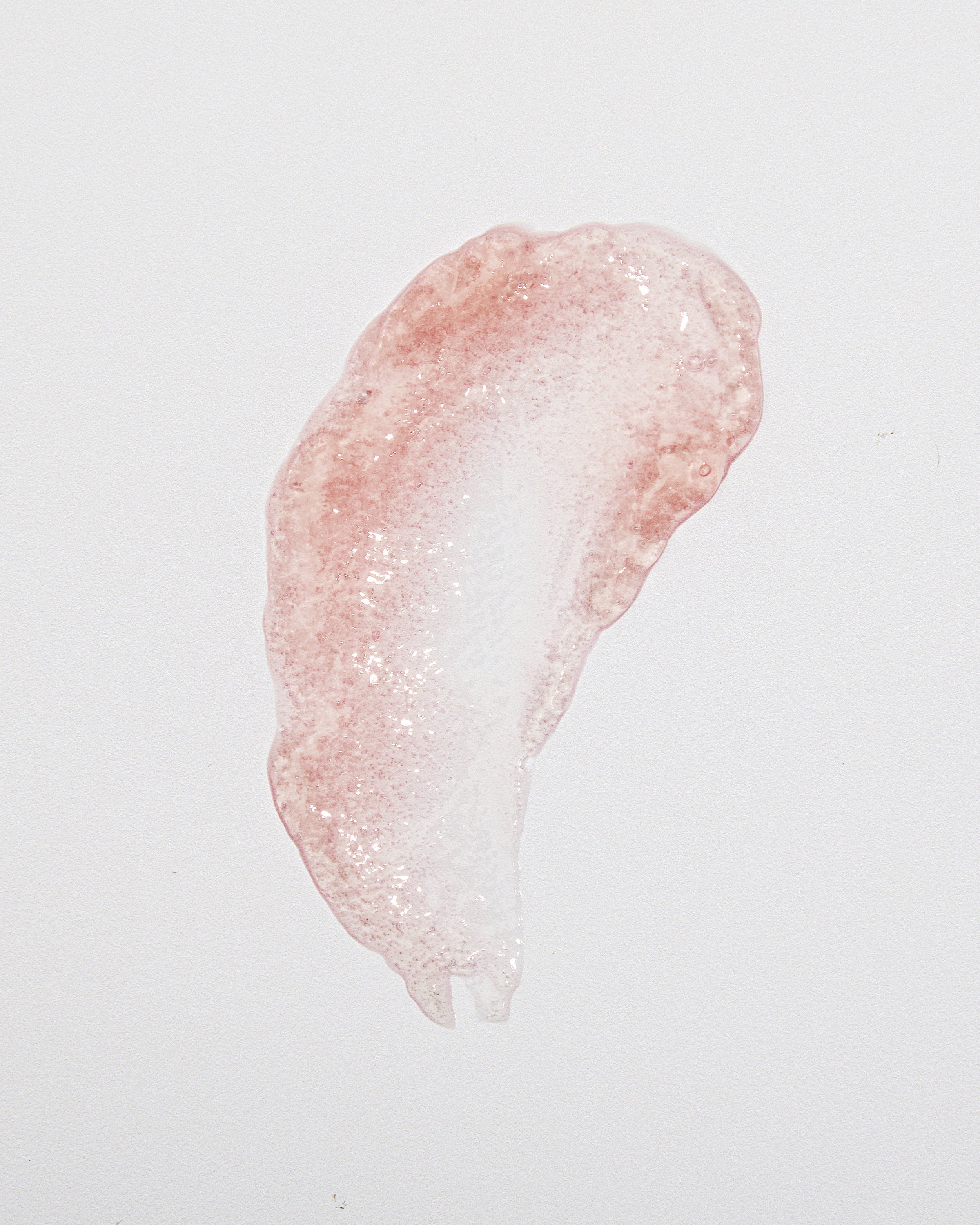 DewLily-8.JPG