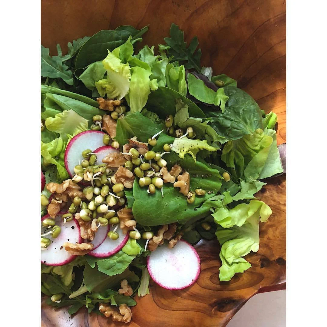 Another (easiest) way to use mung beans. They have a lovely crunch in salads when still raw, these are soaked & sprouted. You can also just toss sprouted mungs in a bit of ghee + sea salt and sauté them for a few minutes - that’s what I usually do - and they are wonderful as a topping on most anything. 💗
.
.
.
#chinesemedicine #chinesenutritionaltherapy #mungbeans #healingwithwholefoods #foodasmedicine #therapeuticfoods #healingfoods #holisticnutrition #eatingwelleats #medicinekitchen (at Austin, Texas)