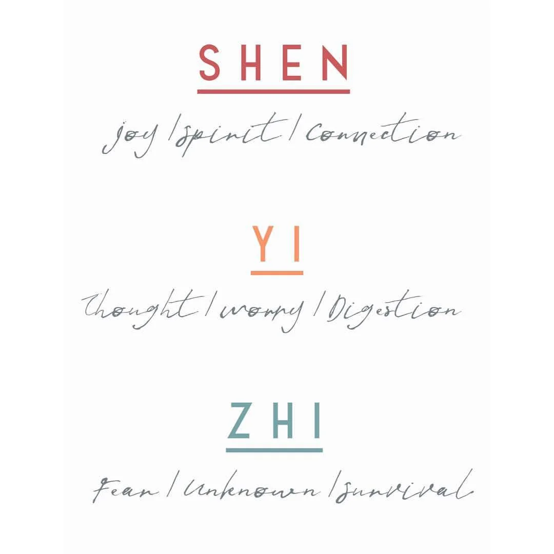 This is fascinating - I encourage you to read on // A beautiful part of Chinese medicine is that there is an aspect of our spirit connected to each organ system in our bodies - it fully integrates mind, body & spirit on a founding level. 🧡. The Yi is the part of our spirit-mind that is intellect/ thought / analysis / mental processing and mental “digestion”, if you will. The Yi is actually tied to our digestive organs- the spleen and stomach of the Earth element which is about rooting ourselves and feeding ourselves. Which makes sense when you think about digestion - we can digest food but we also digest information and content. Do you ever feel like your appetite gets affected by stress? Nervous stomach? IBS that is worse with stress or over-working? This is incredibly common. Sometimes we over-eat or over-think (the latter actually seems more common these days). Most people don’t realize that these two things can damage the same system in our bodies! Our bodies do not like to work on mental & physical digestion at the same time. Gut and digestive issues are widely popular and we are consuming more information than ever before. This is a huge health challenge of our time. 🧡. 2018 is an Earth year and one of my missions this year is to create something beautiful for you all to help swing this pendulum of thought —— worry —— (in)digestion back to health.🧡.
.
.
.
#digestion #mindfulness #mindbodyspirit #earthelement #fiveelements #chinesemedicine #yi #constantcontent #overconsumption #indigestion #foodtherapy #healingfoods #intentionalliving #healingarts #holistichealth #shen #jing #fivephases #healingaxis #transformations #rootedinspirit