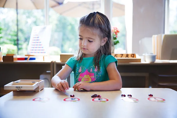 Primary-Program-3.jpg