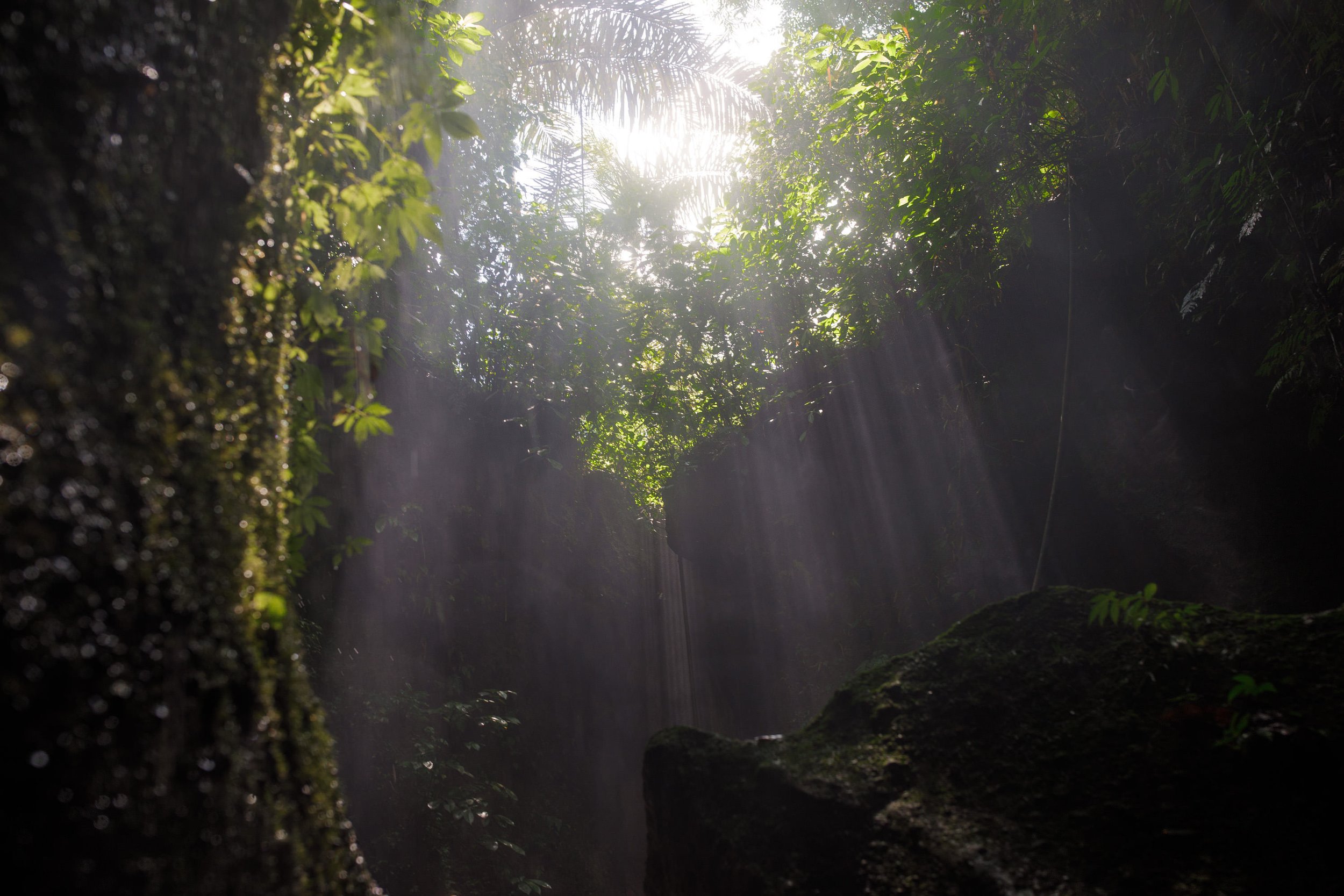 ubud_waterfall_engagement_session-5.jpg