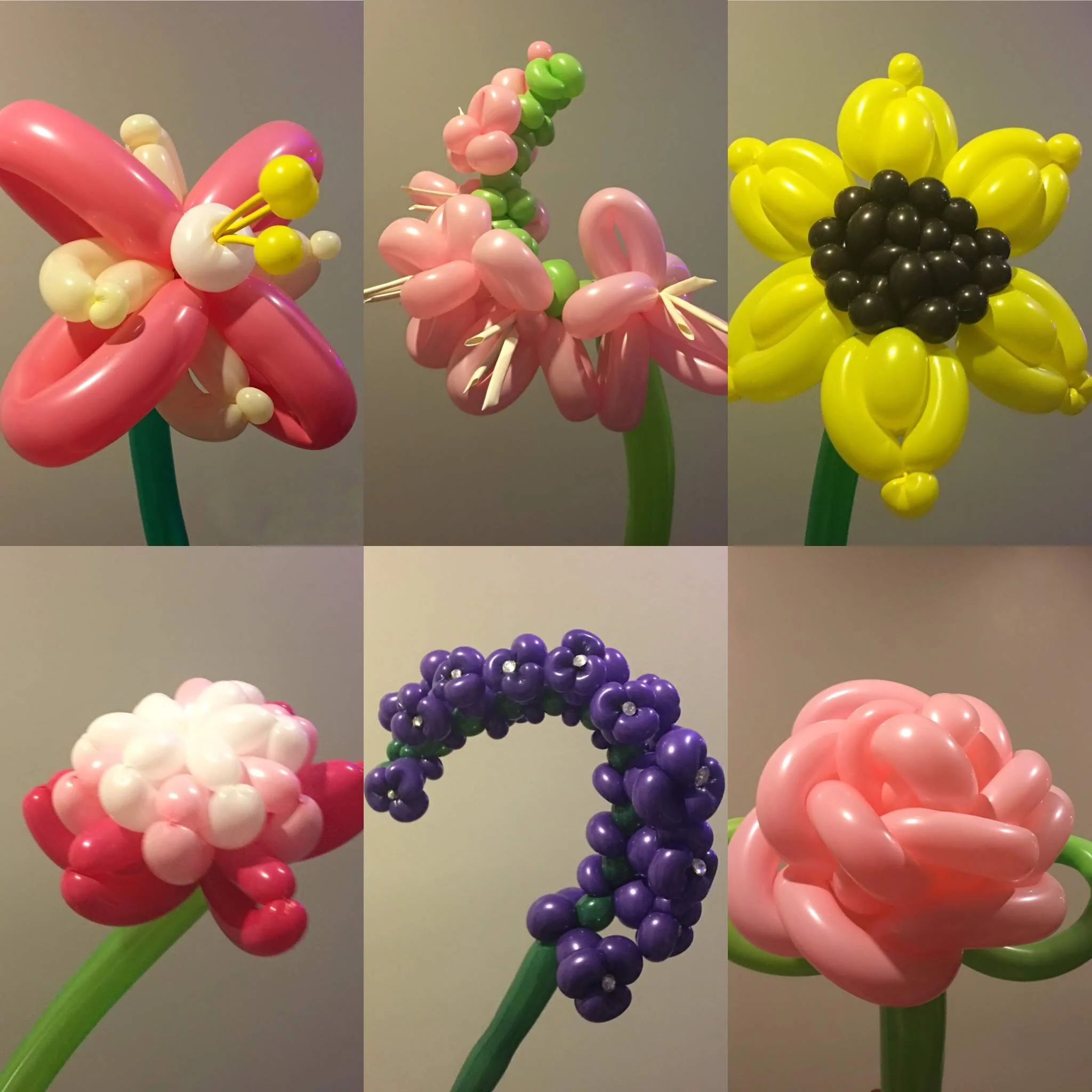 Platinum-Tier Balloon Flowers examples