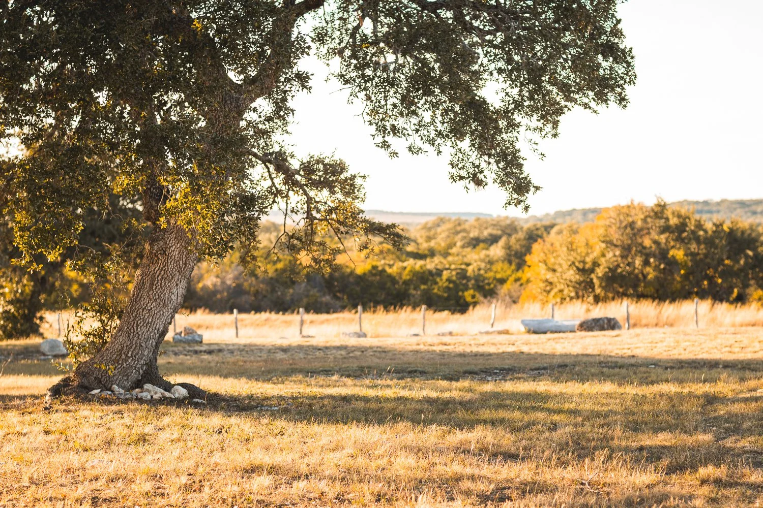 Family Photos Without the Stress — Mini Sessions Now Open