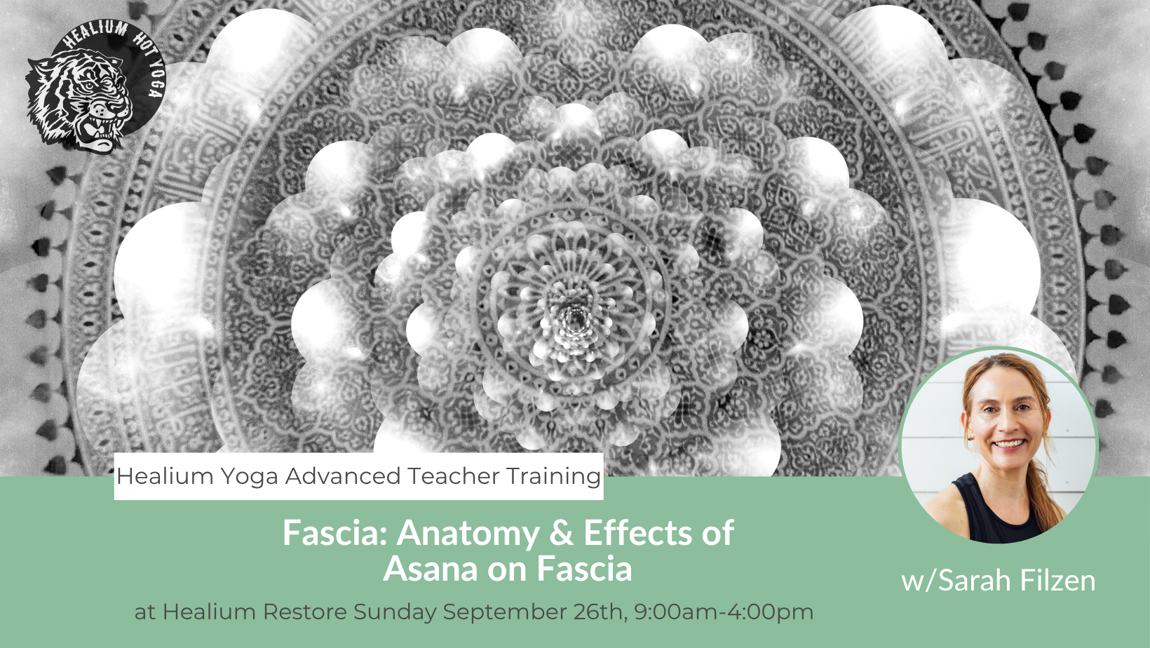 Fascia: Anatomy &amp; Effects of Asana on Fascia