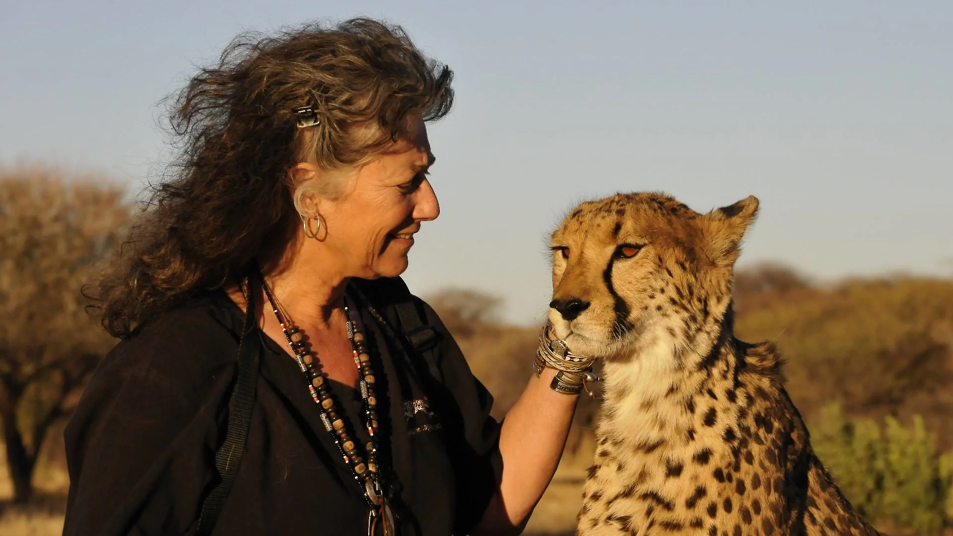 Captive-Bred Cheetah released into ...