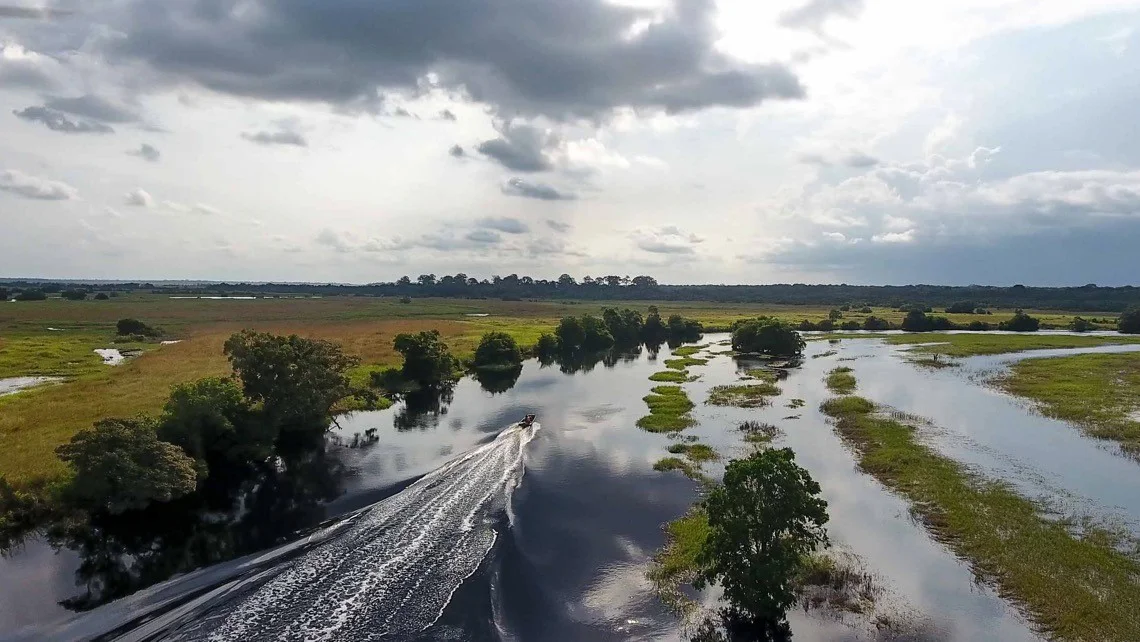 1.  WCS Congo - Photo Remi Pognante-WCS.jpg